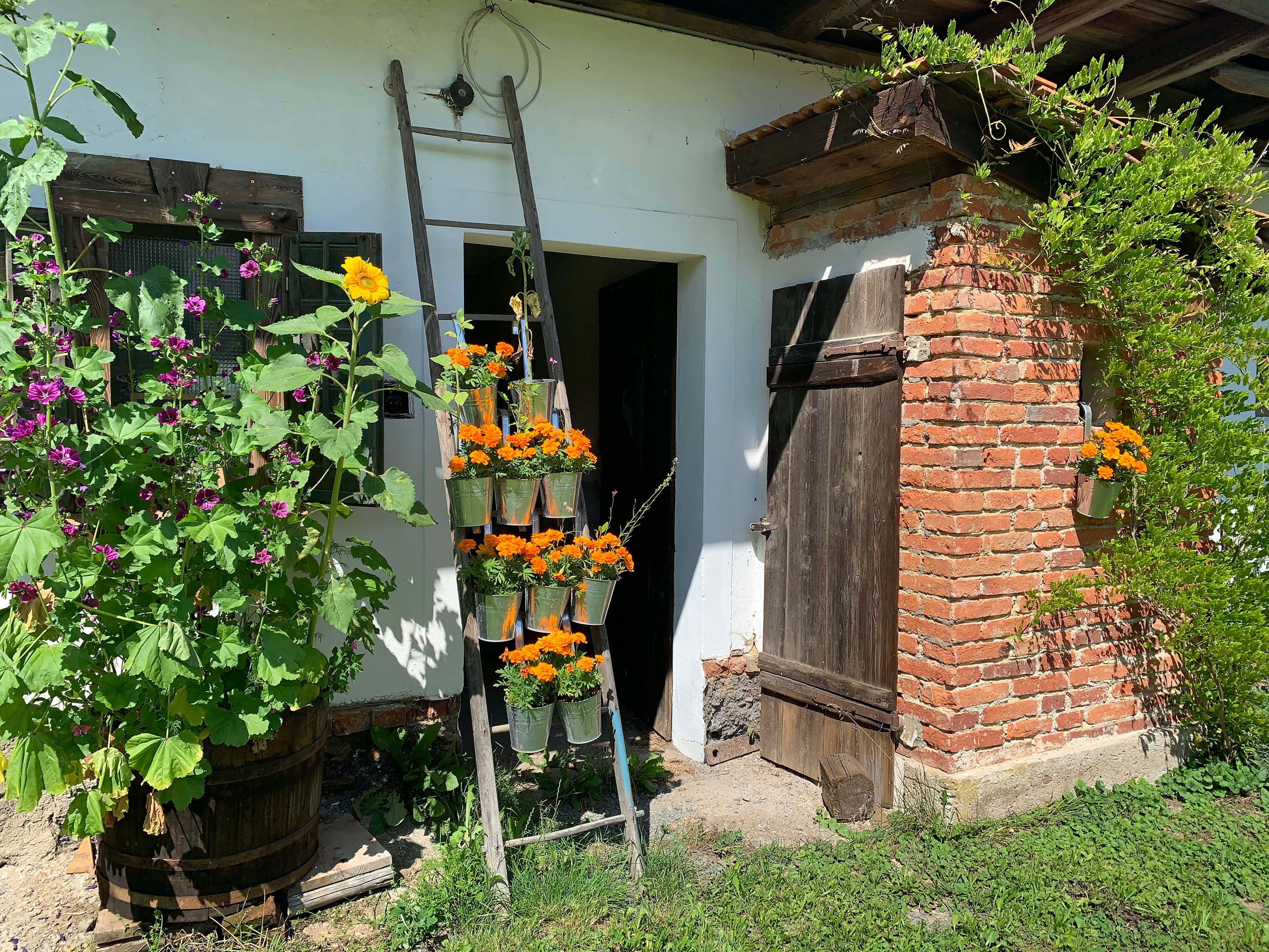 - image: 22