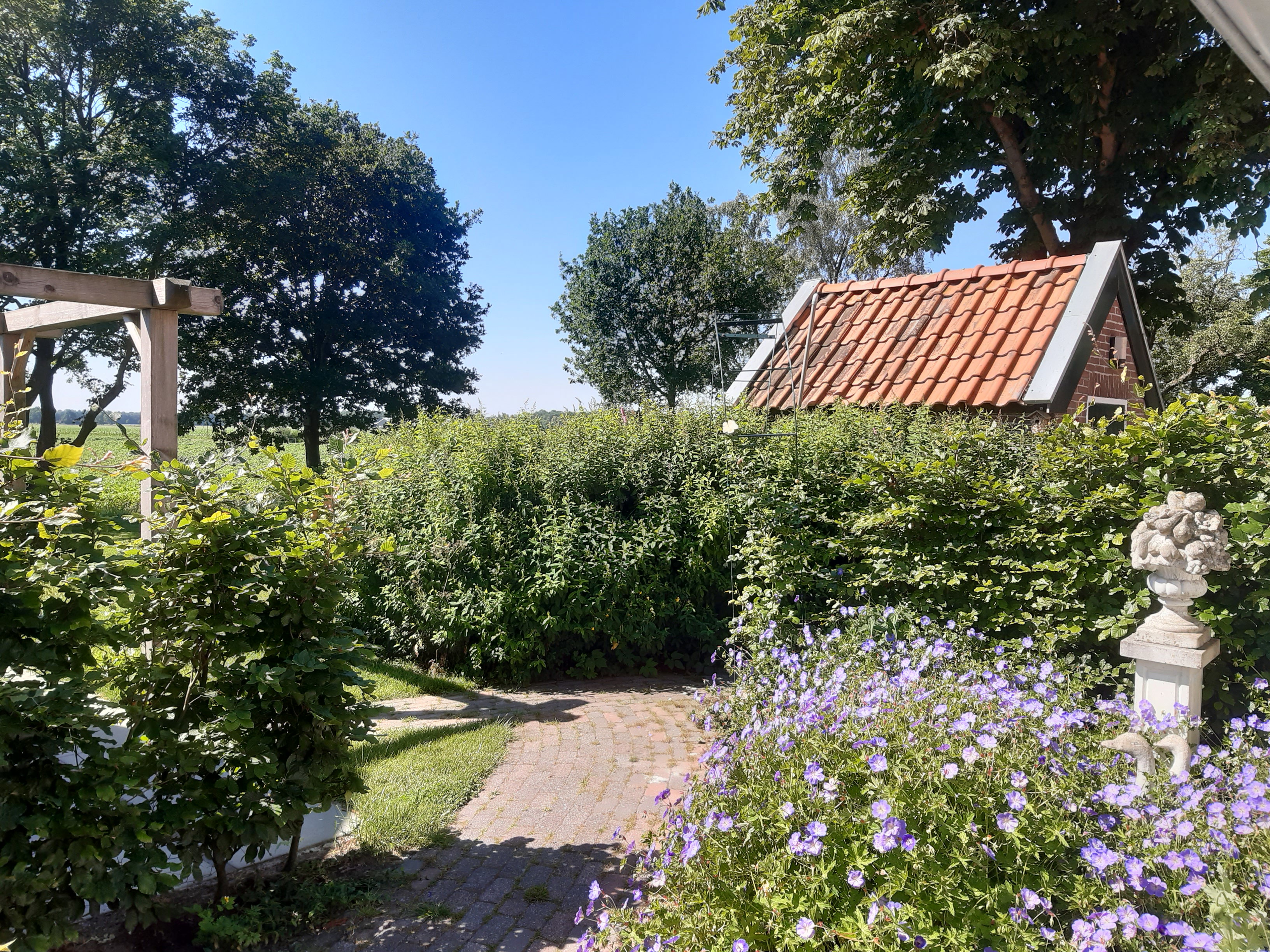 Naturhäuschen in Fochteloo