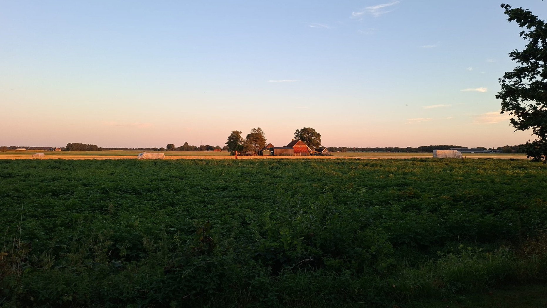 - image: 15