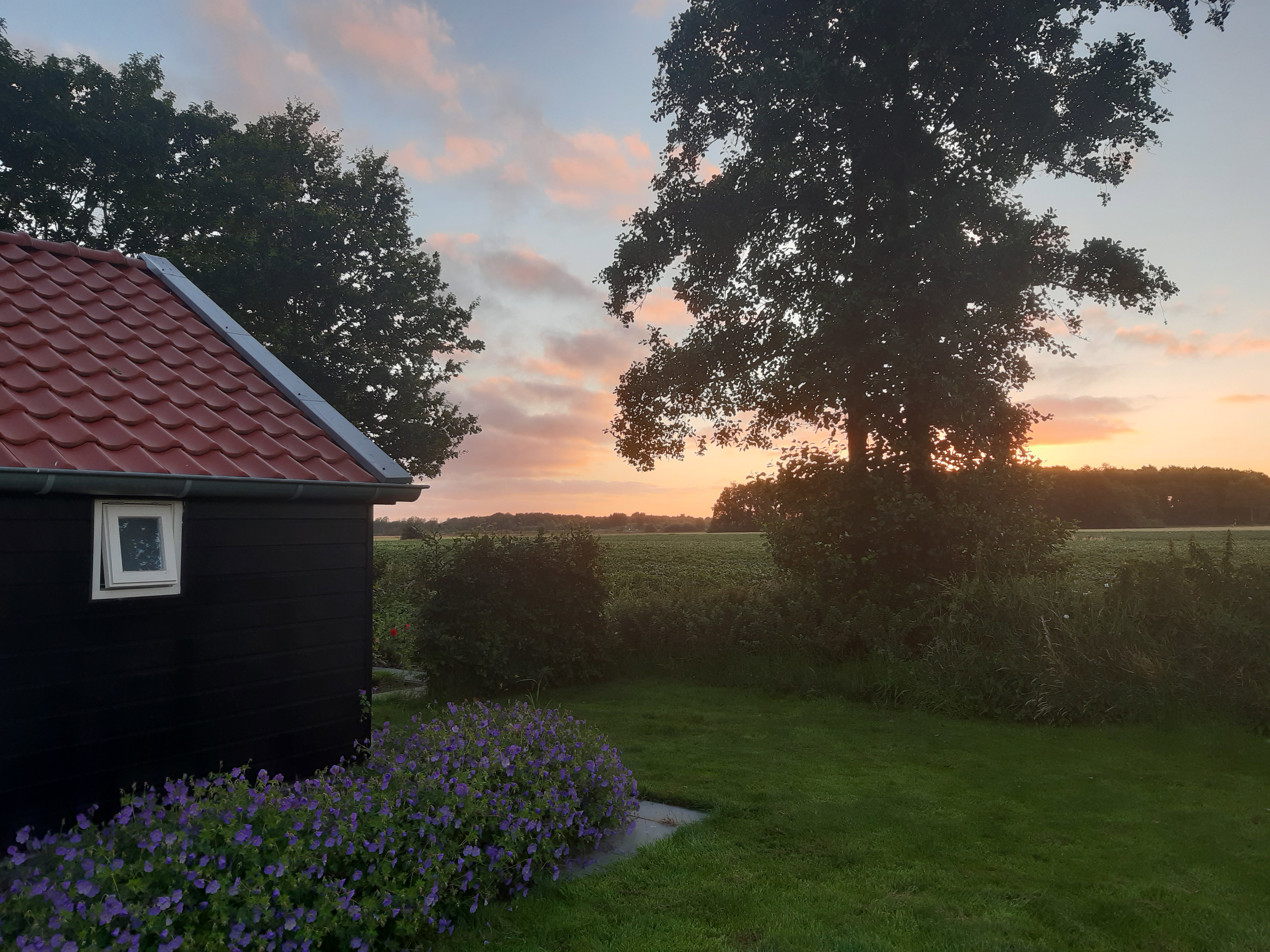 - image: 14