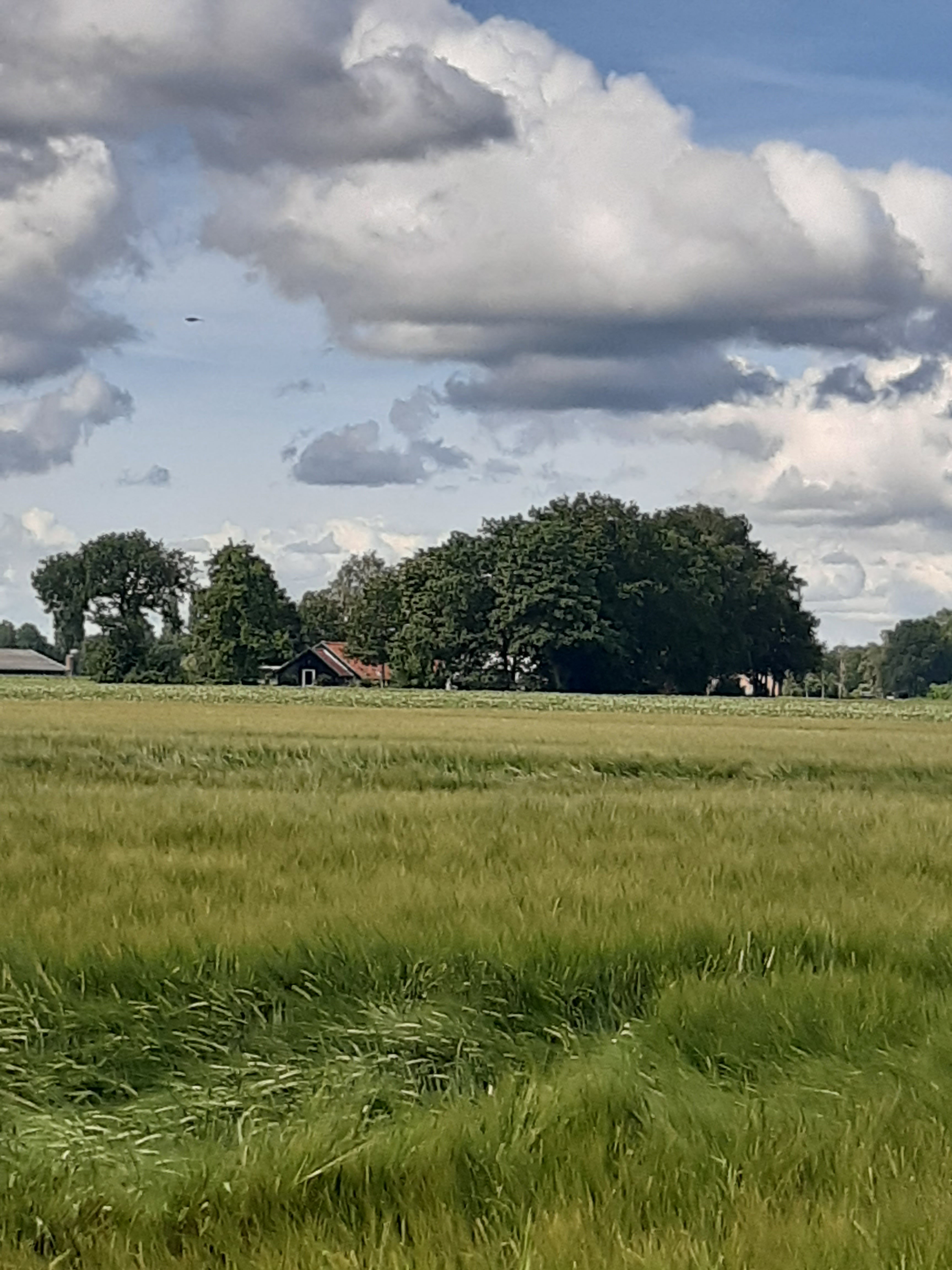 Naturhäuschen in Fochteloo