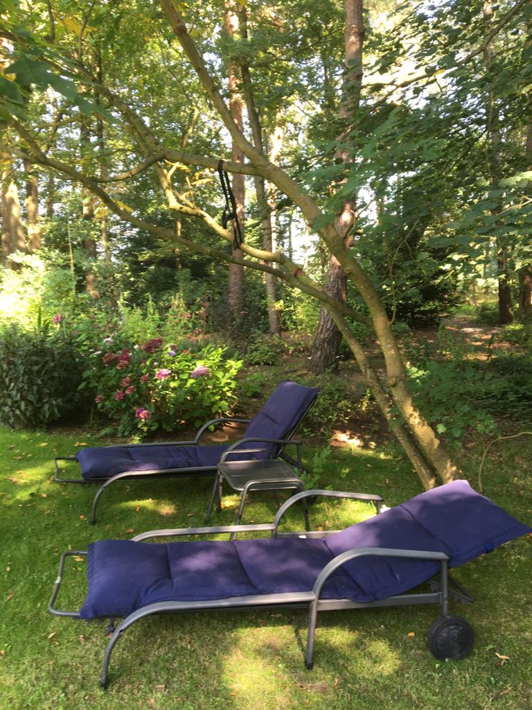 Maison nature à Emst