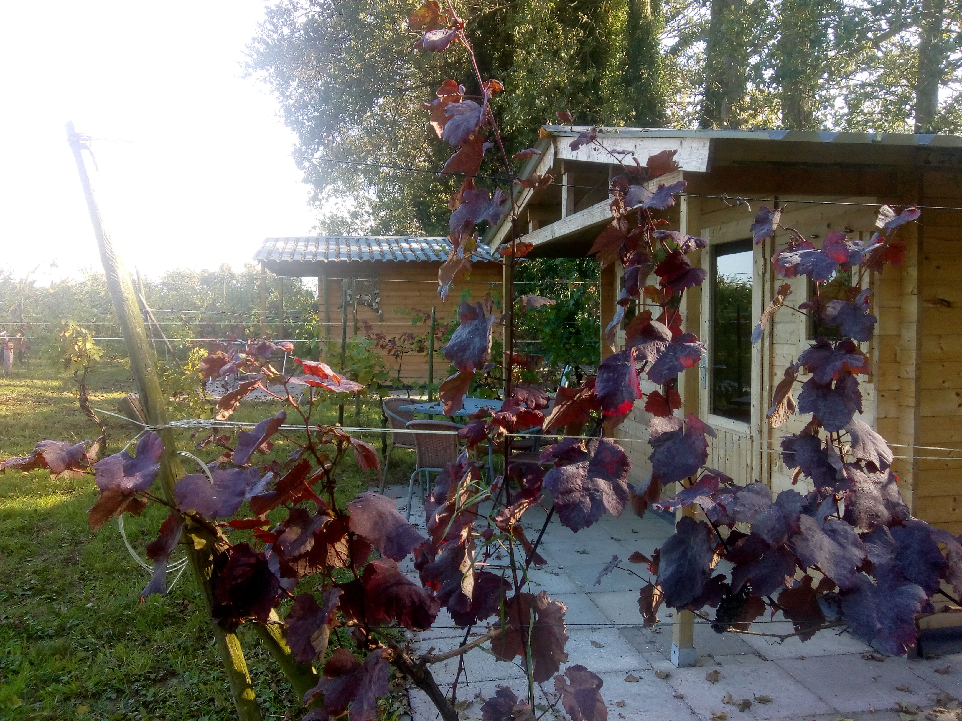 Maison nature à Simonshaven