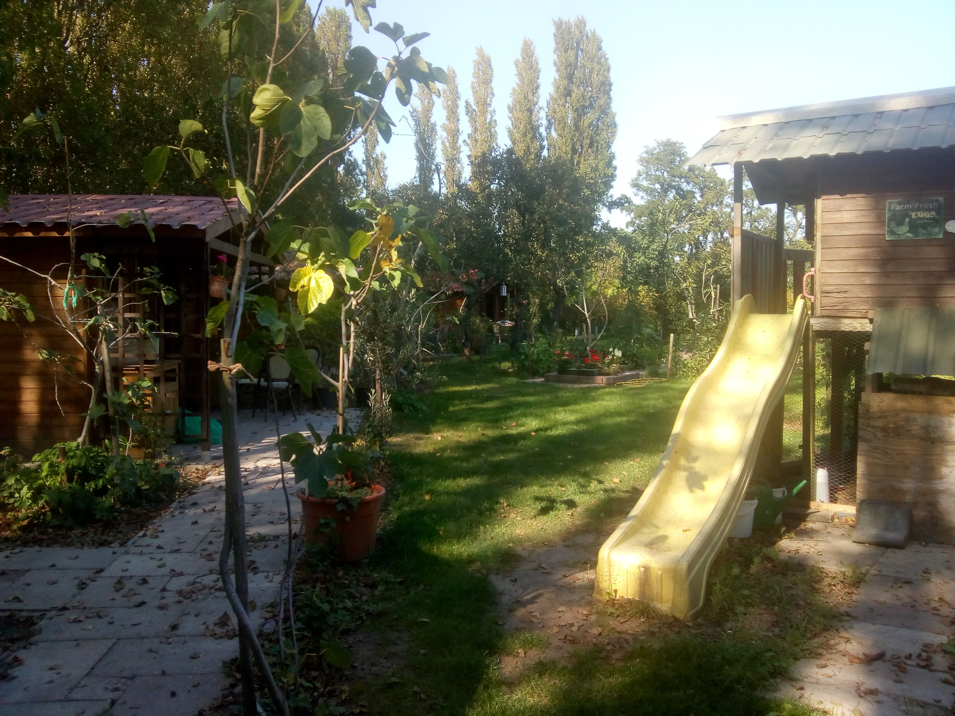 - image: 12