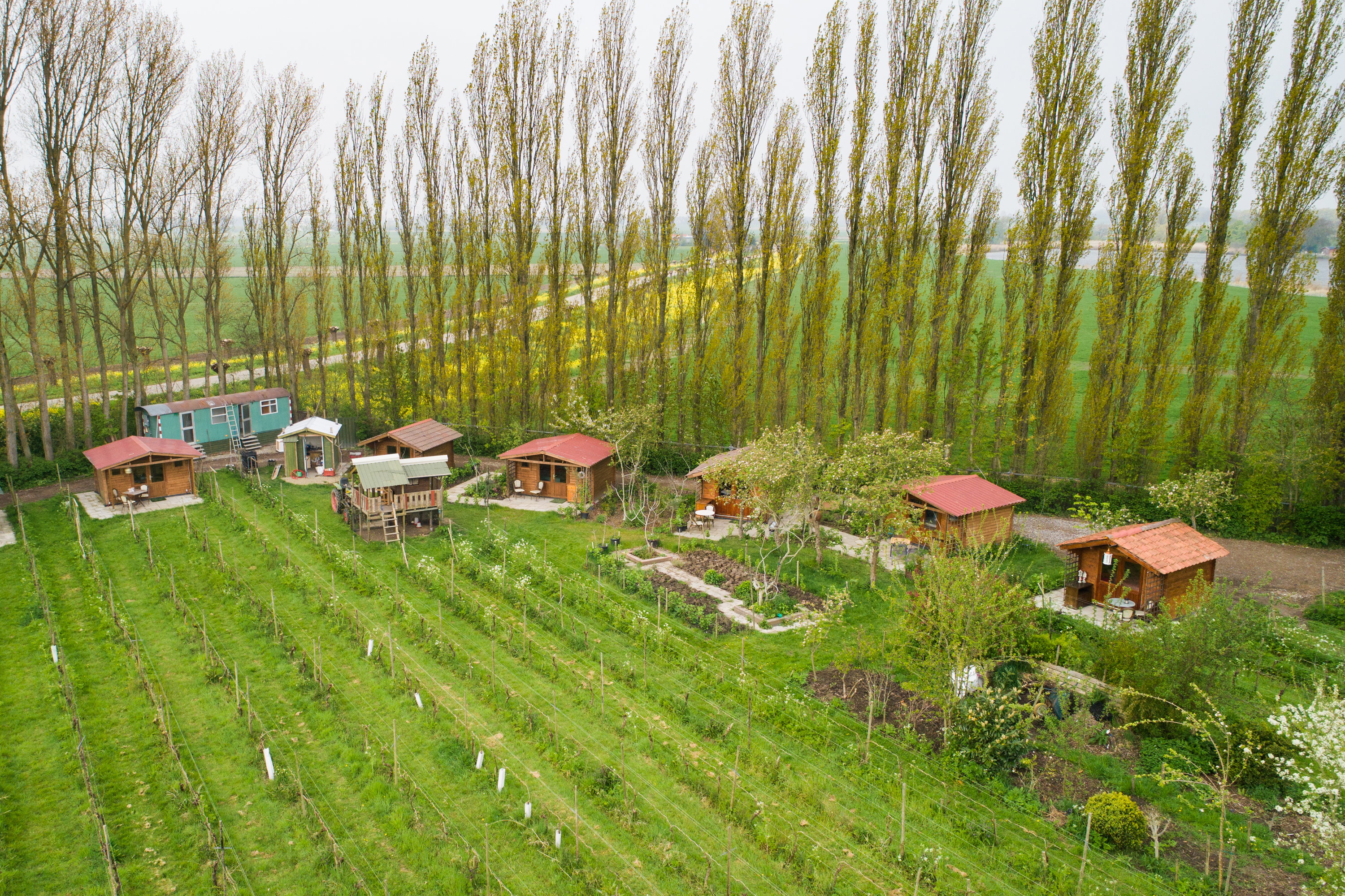 Maison nature à Simonshaven
