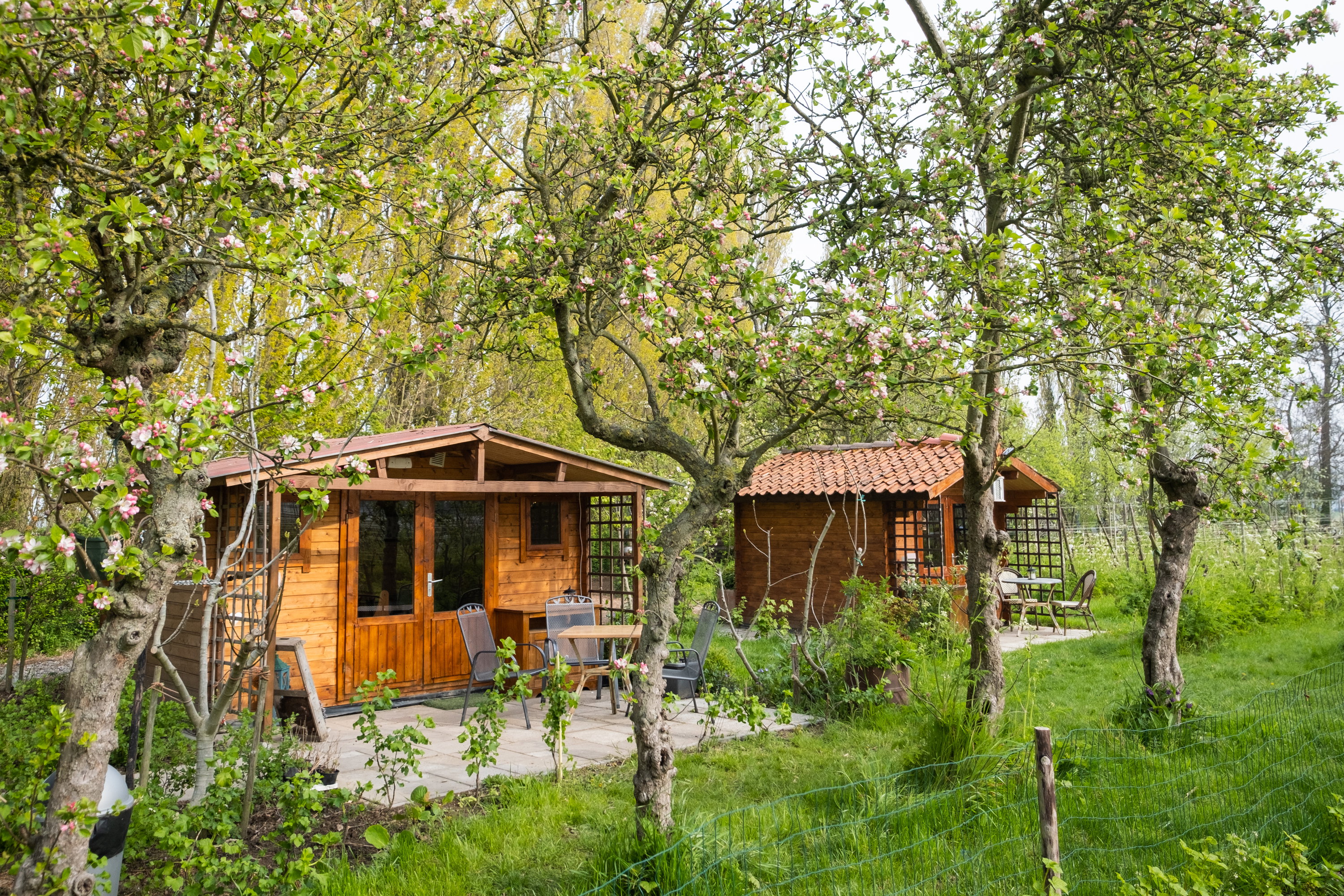 Maison nature à Simonshaven