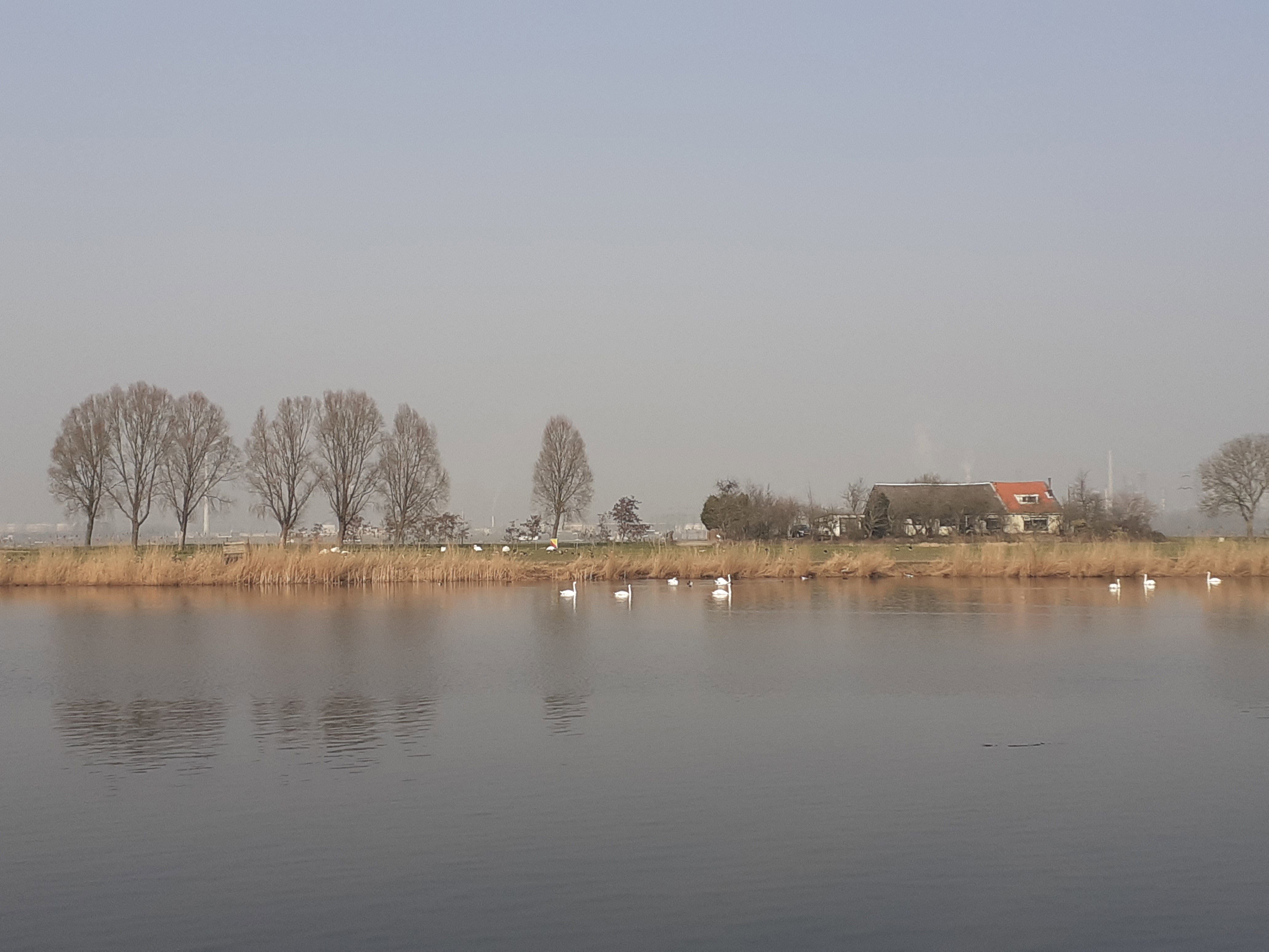 Naturhäuschen in Simonshaven