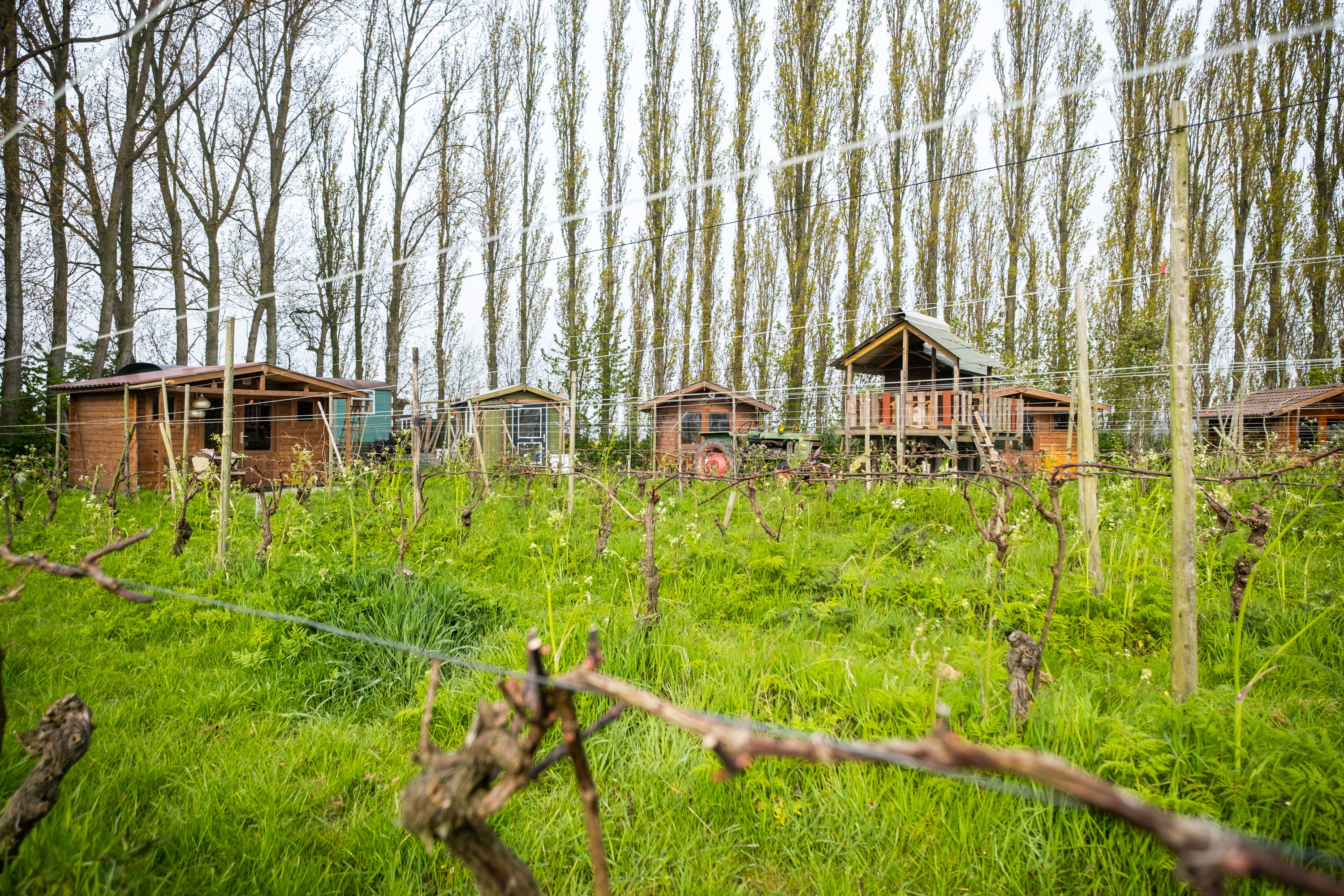 Naturhäuschen in Simonshaven