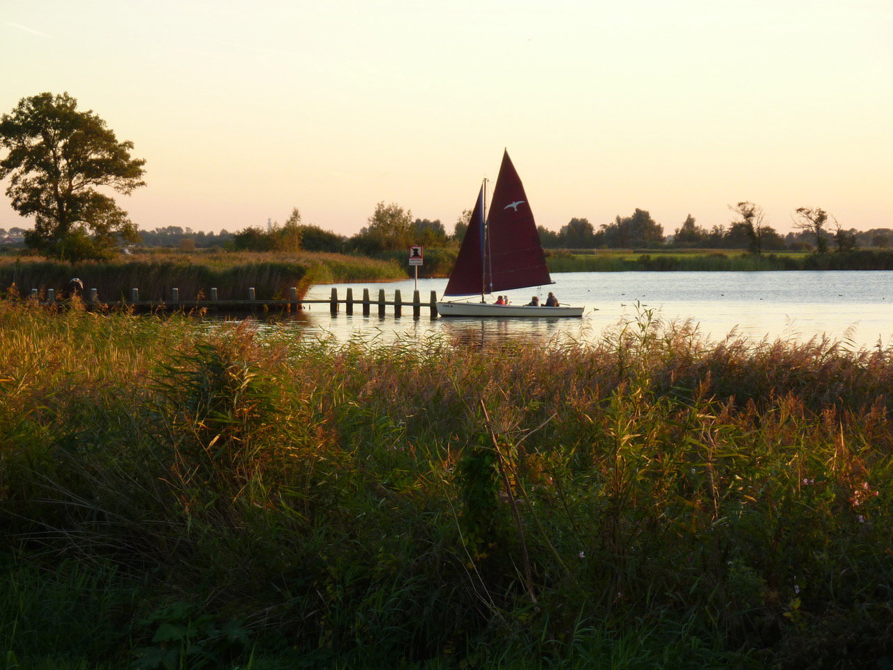 - image: 29