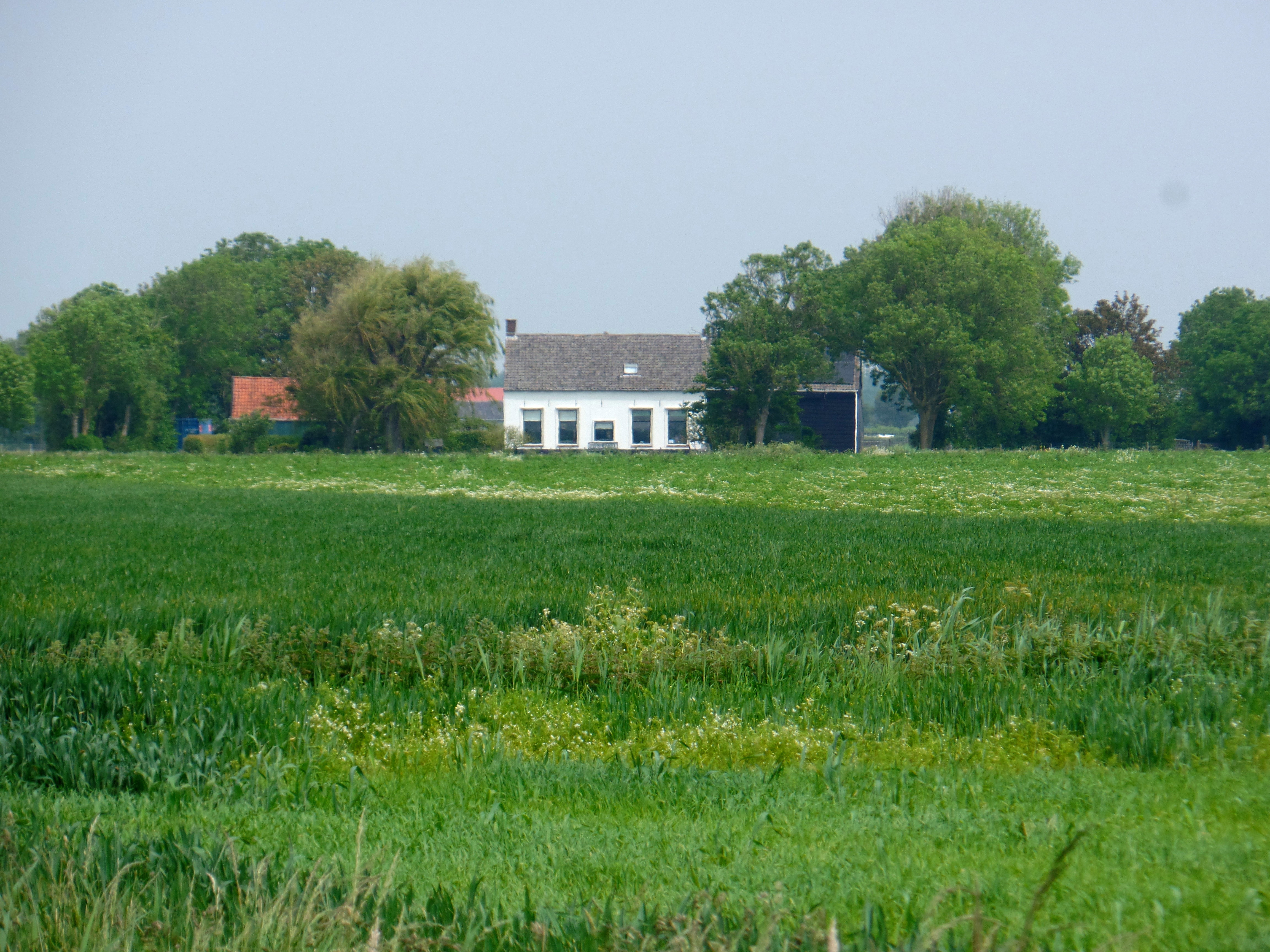 - image: 21