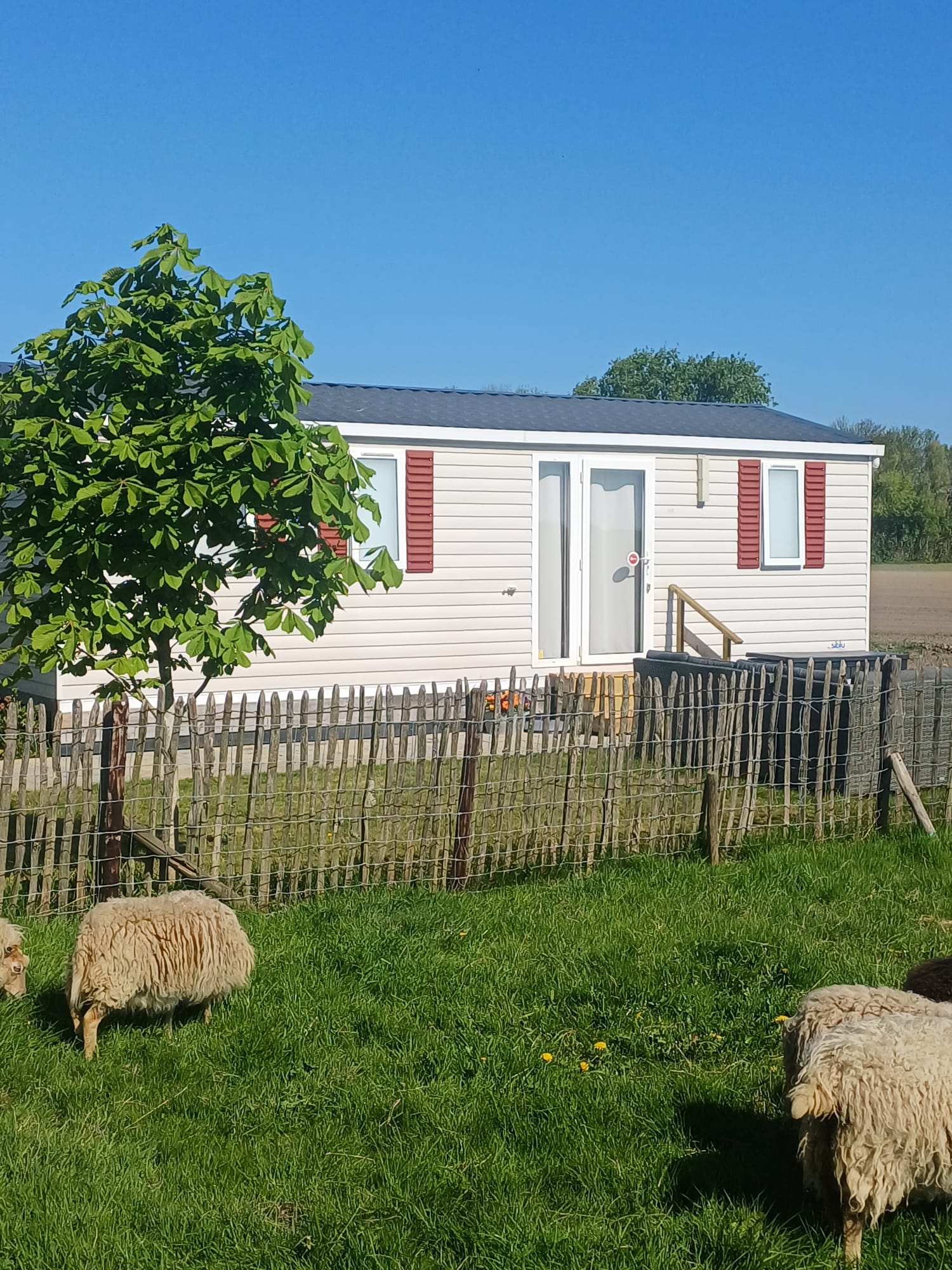 Natuurhuisje in Zonnemaire