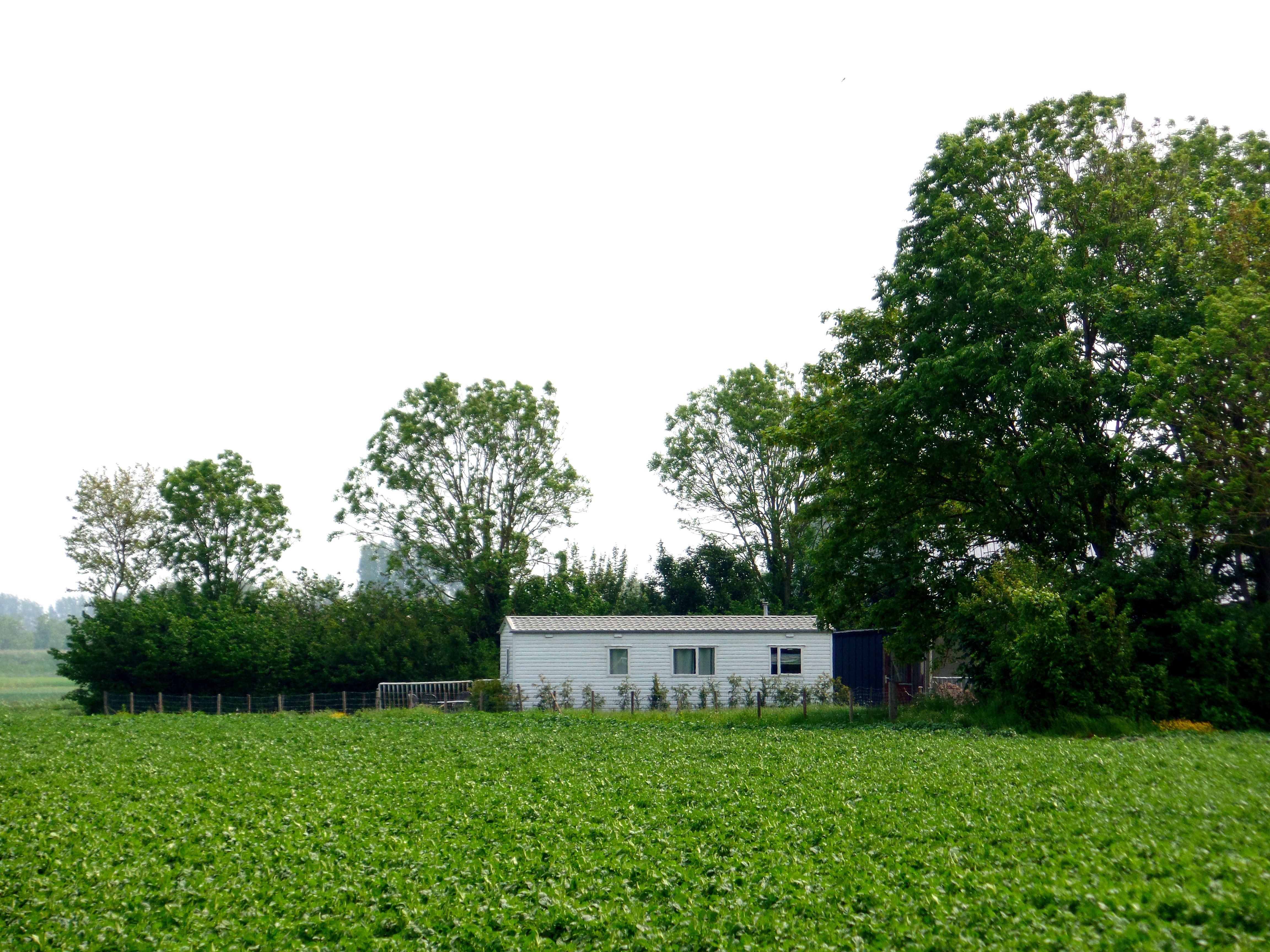 Maison nature à Zonnemaire