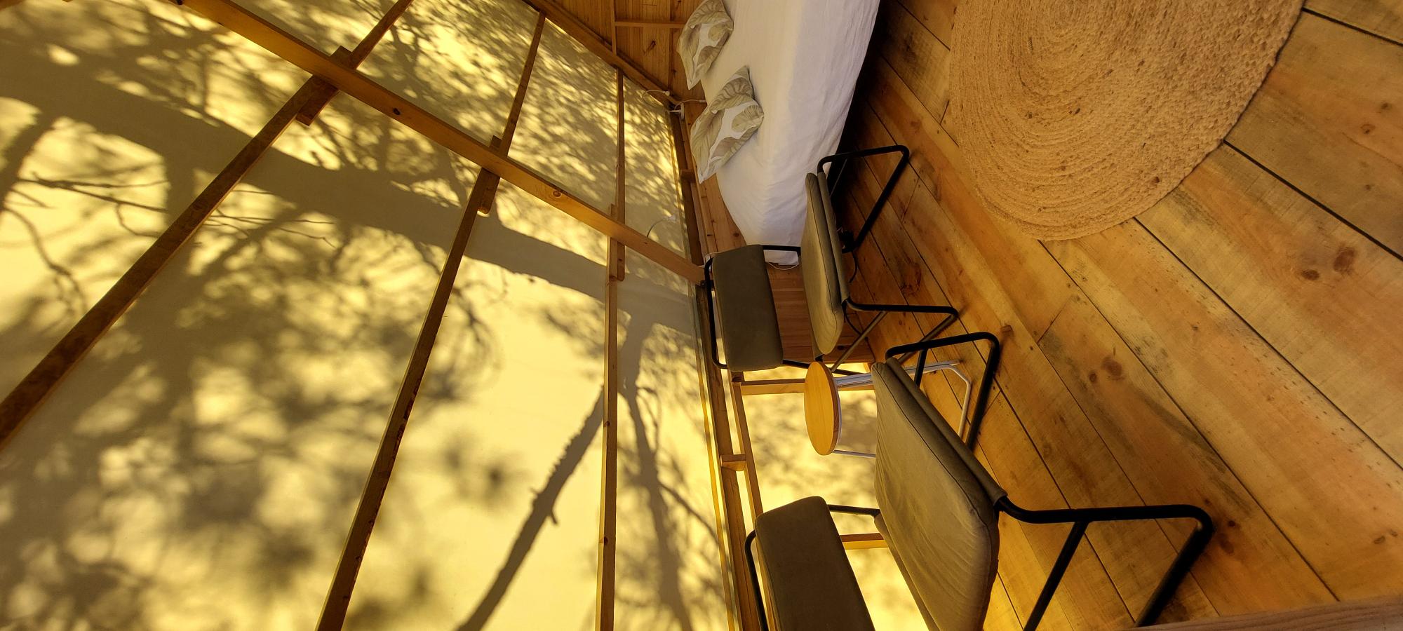 - image: 3