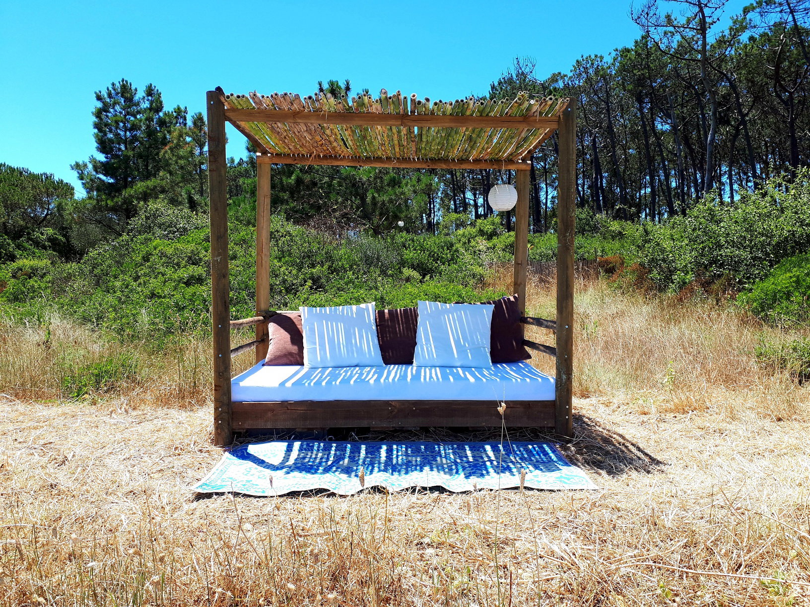 - image: 16