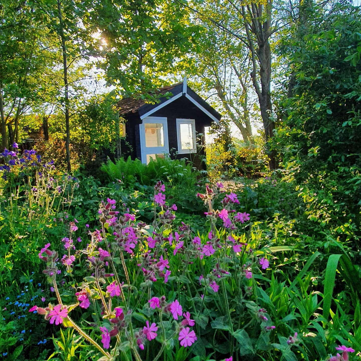 Natuurhuisje in Munnekeburen