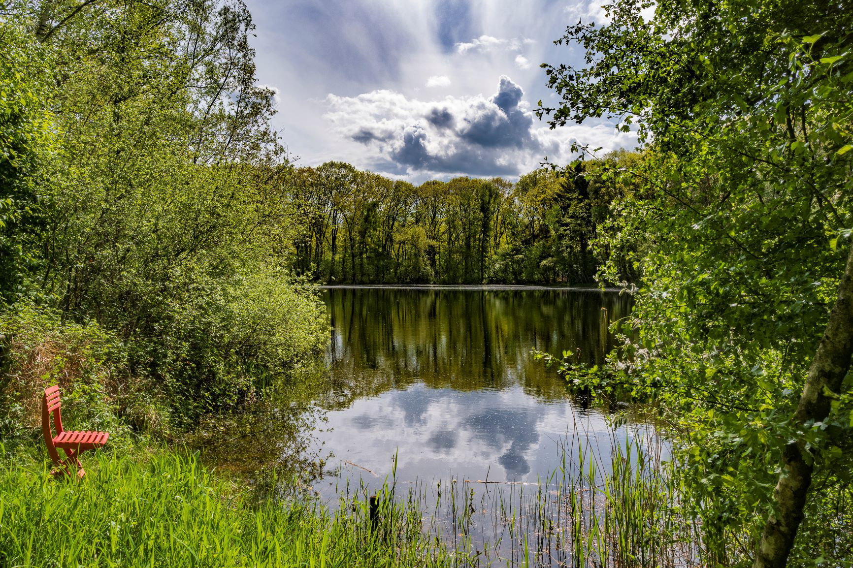 - image: 23