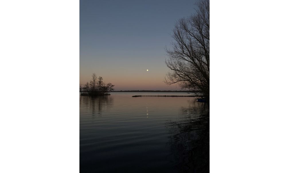 - image: 25