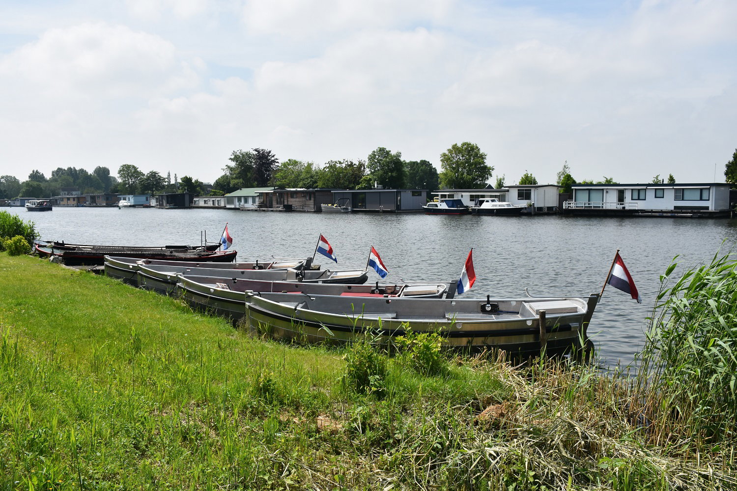 - image: 22