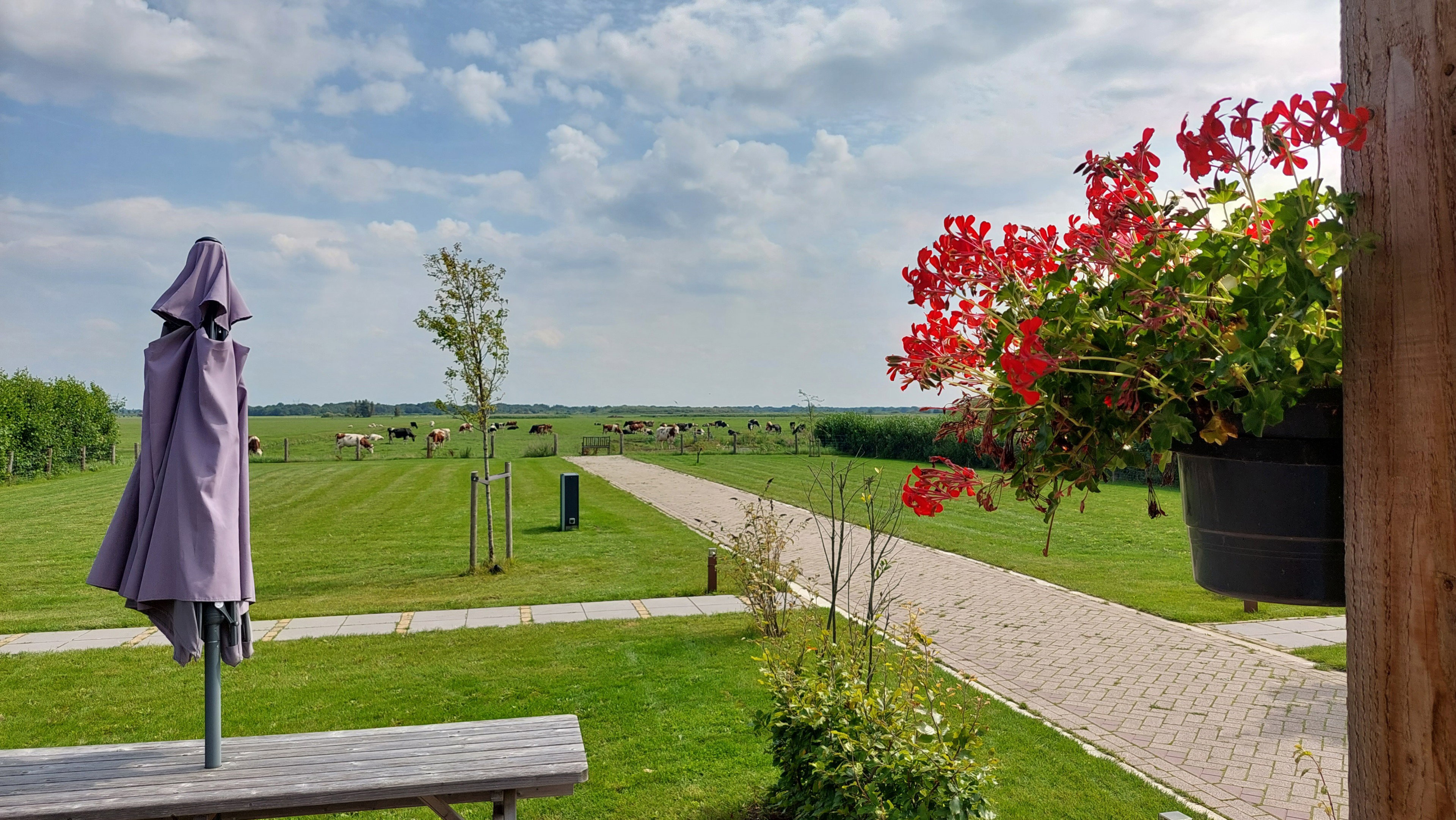 Naturhäuschen in Weesp