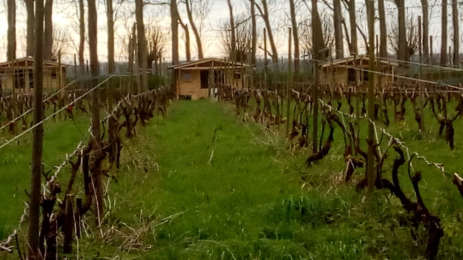 Naturhäuschen in Simonshaven
