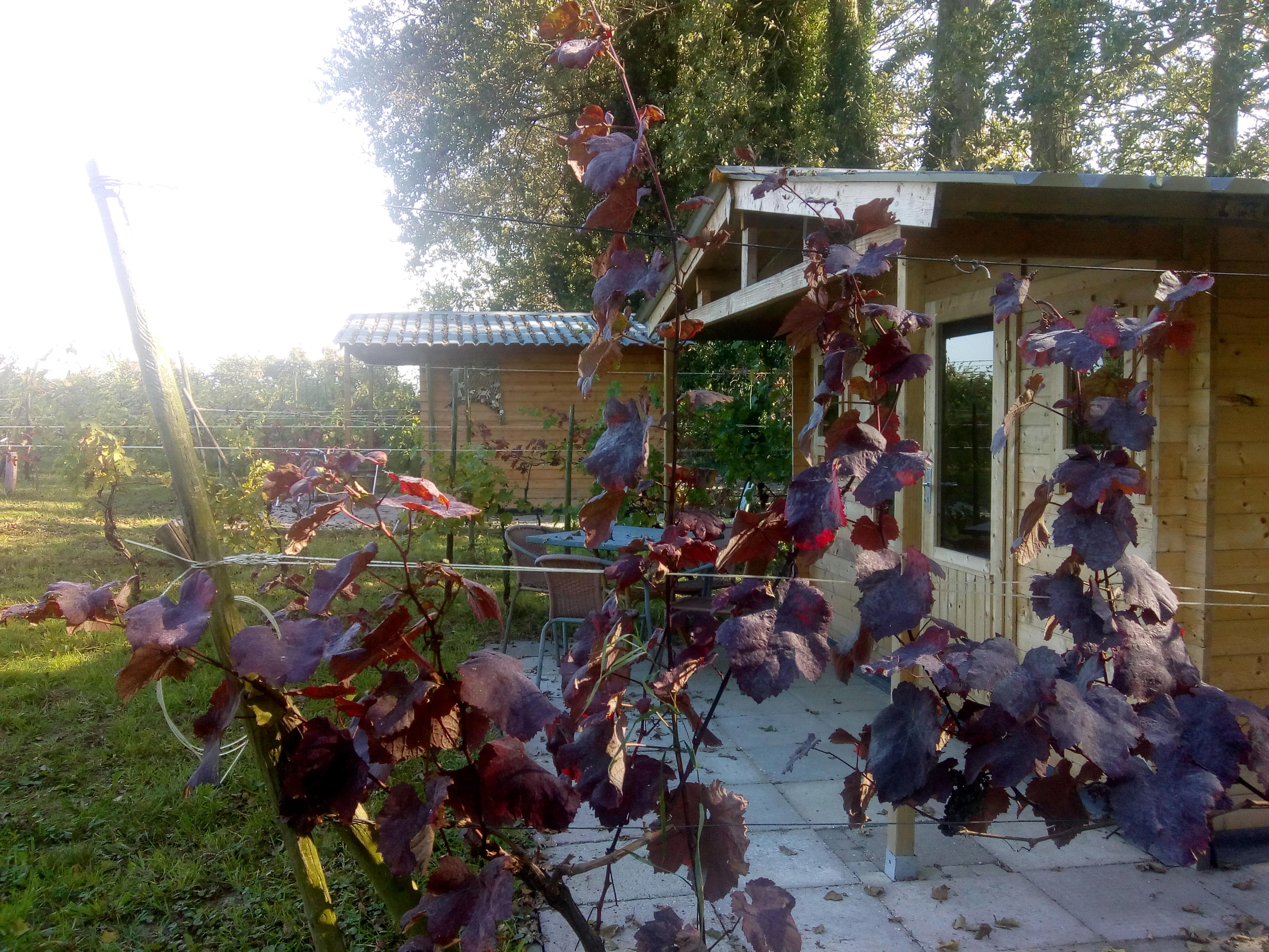 Natuurhuisje in Simonshaven