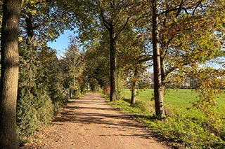 - image: 19