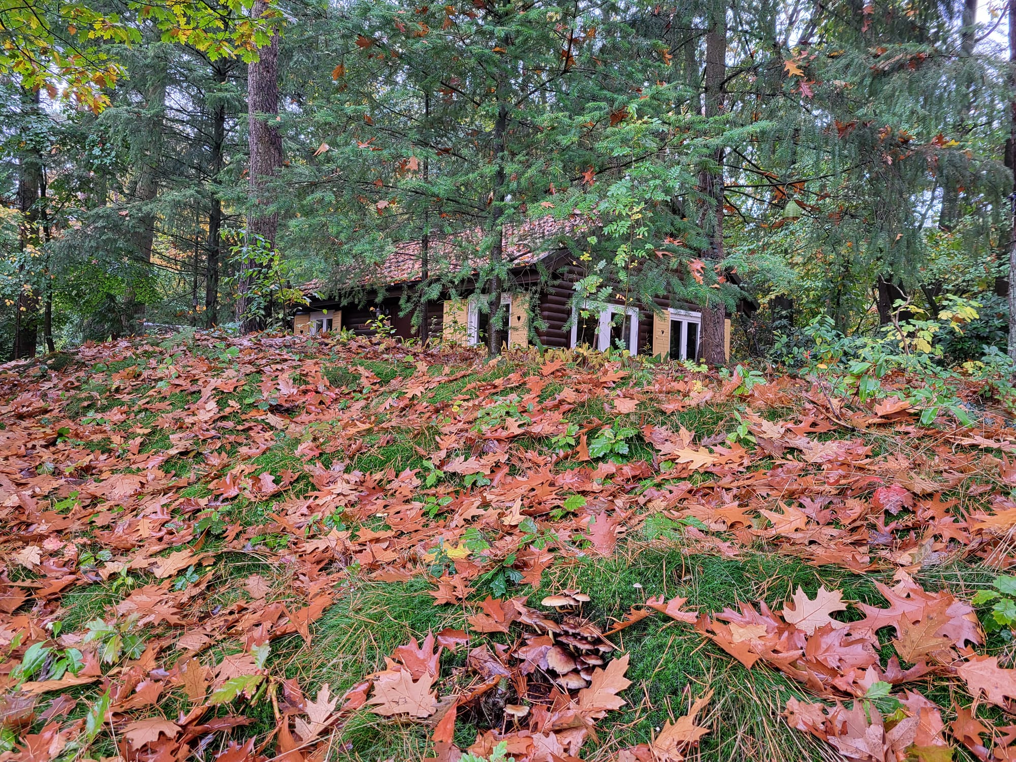 Nature house in Maarn
