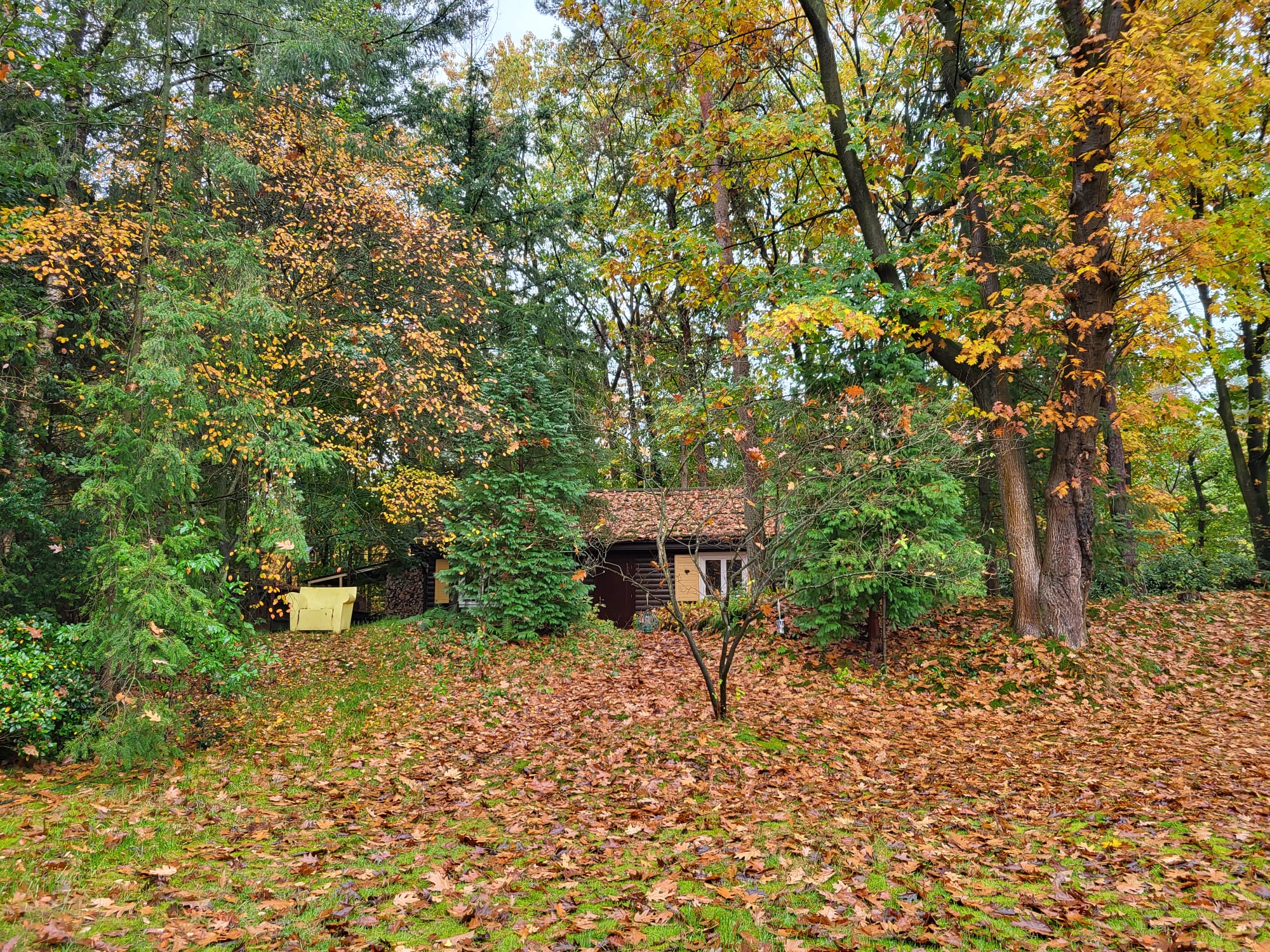 Casa nella natura a Maarn