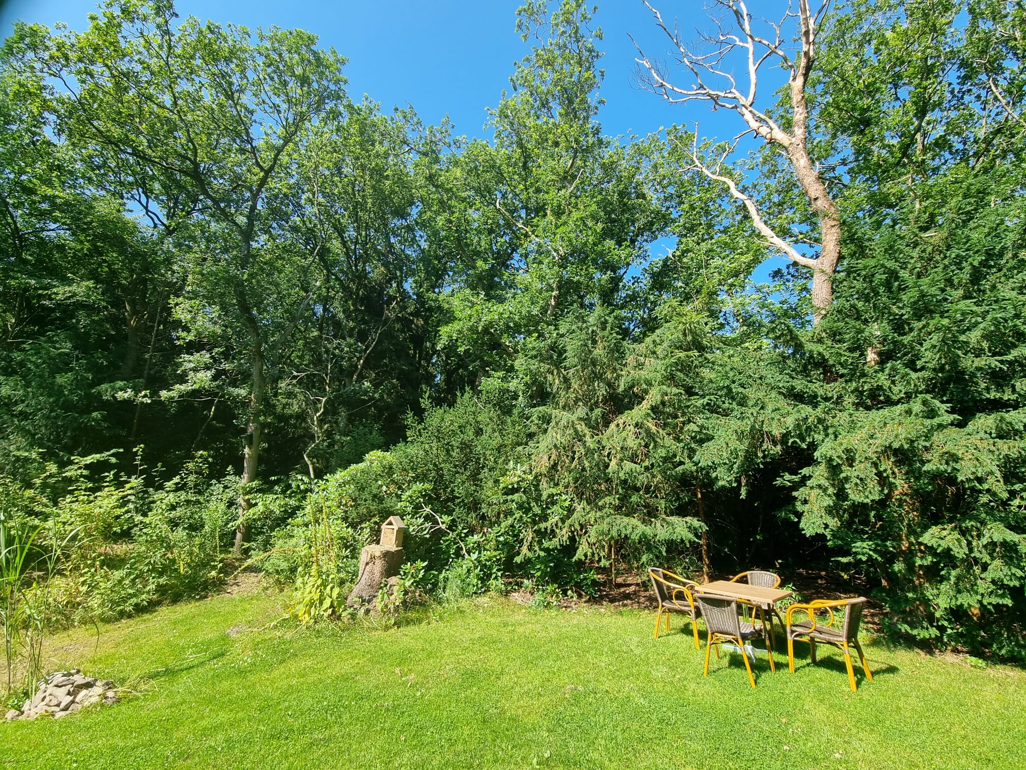 Naturhäuschen in Wateren (Westerveld)