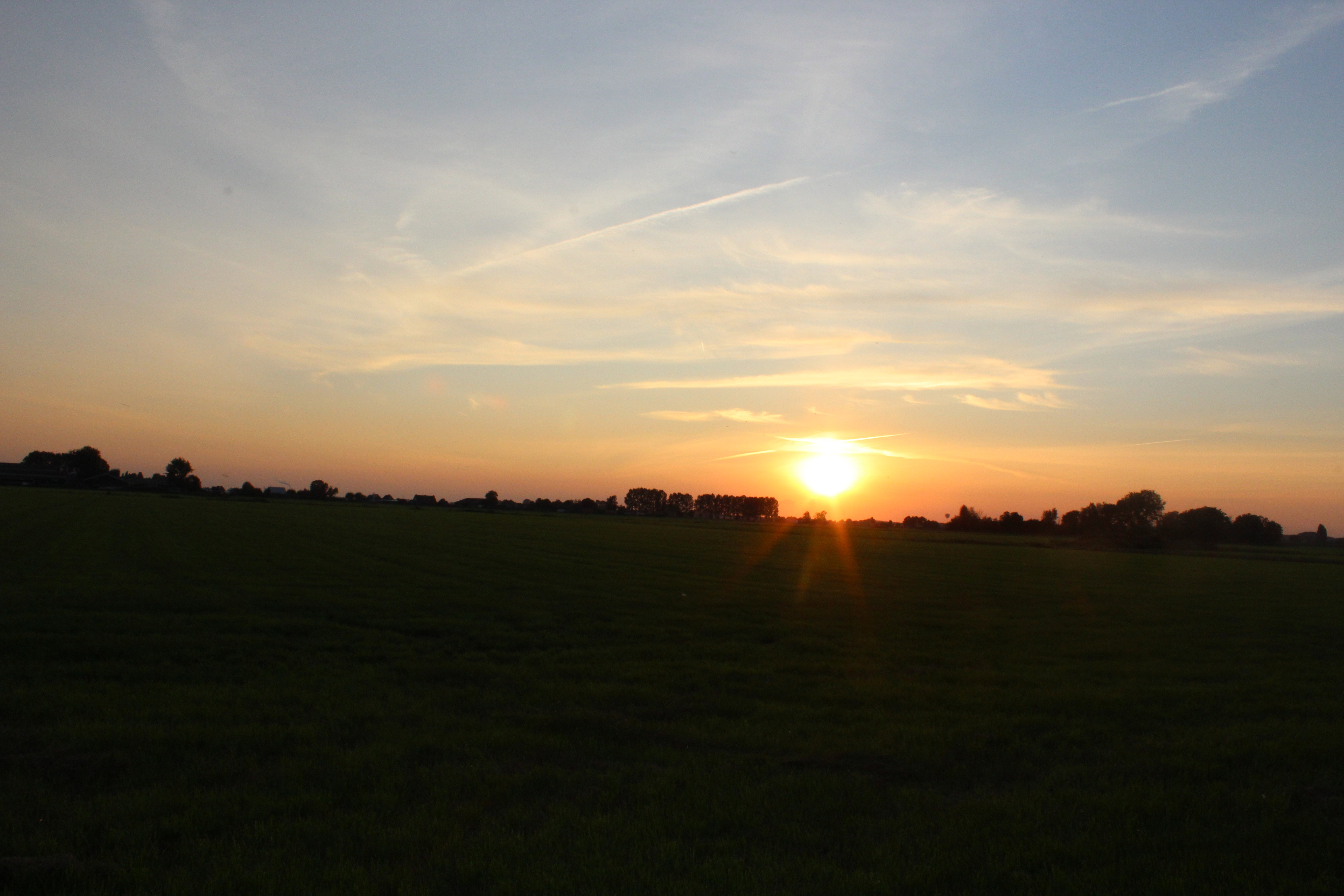 - image: 14
