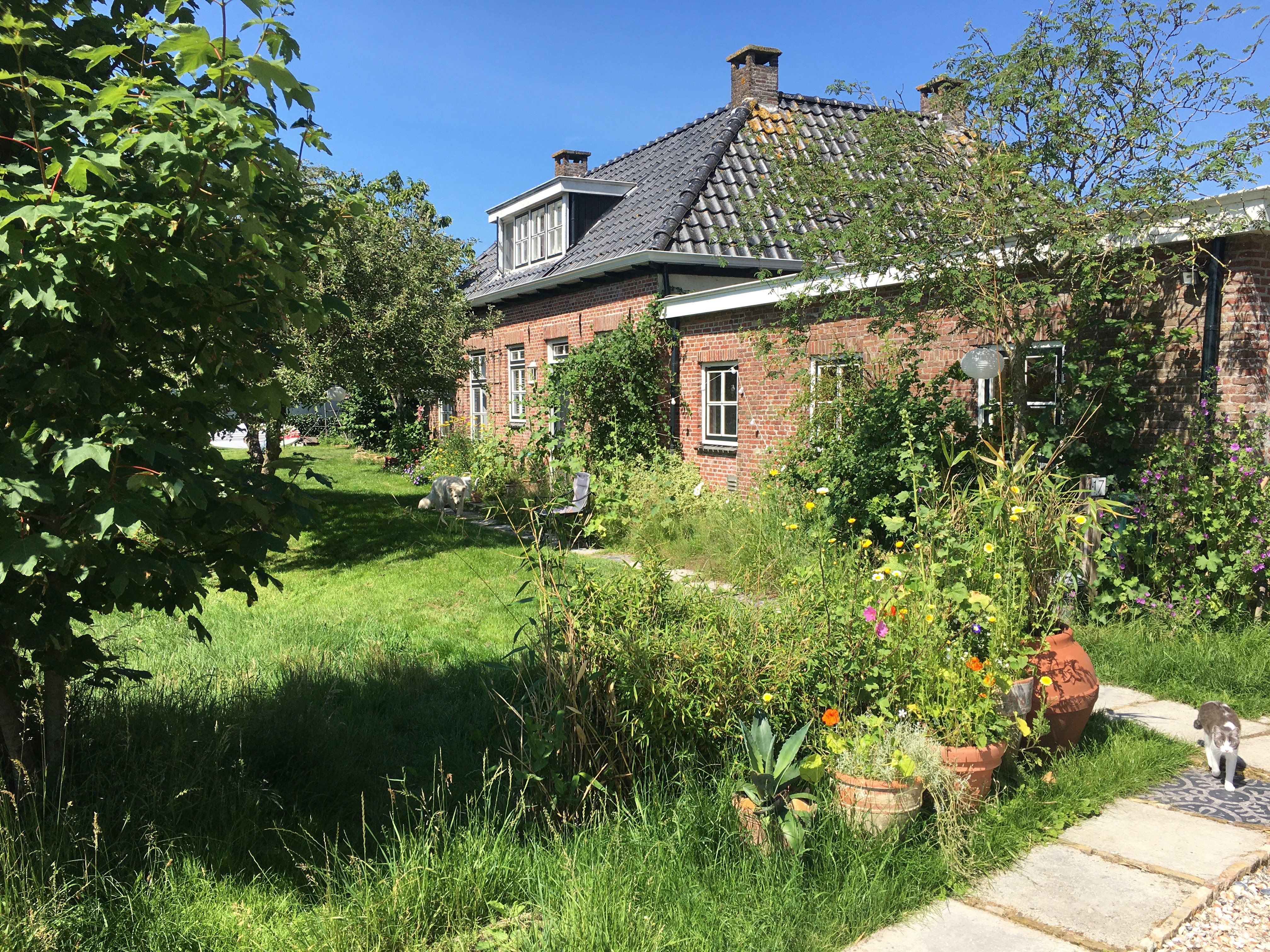 Naturhäuschen in Deinum