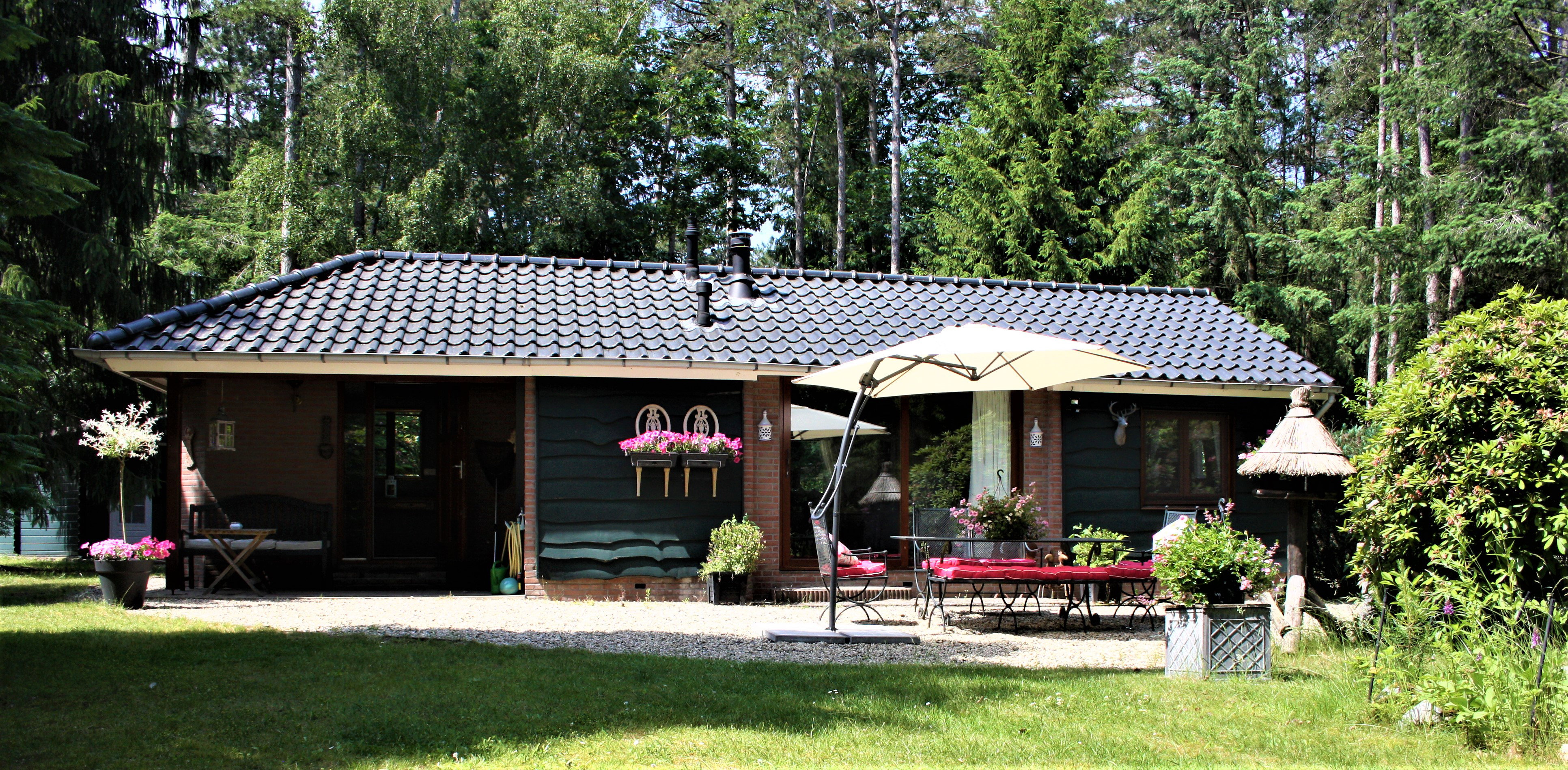 Natuurhuisje in Holten
