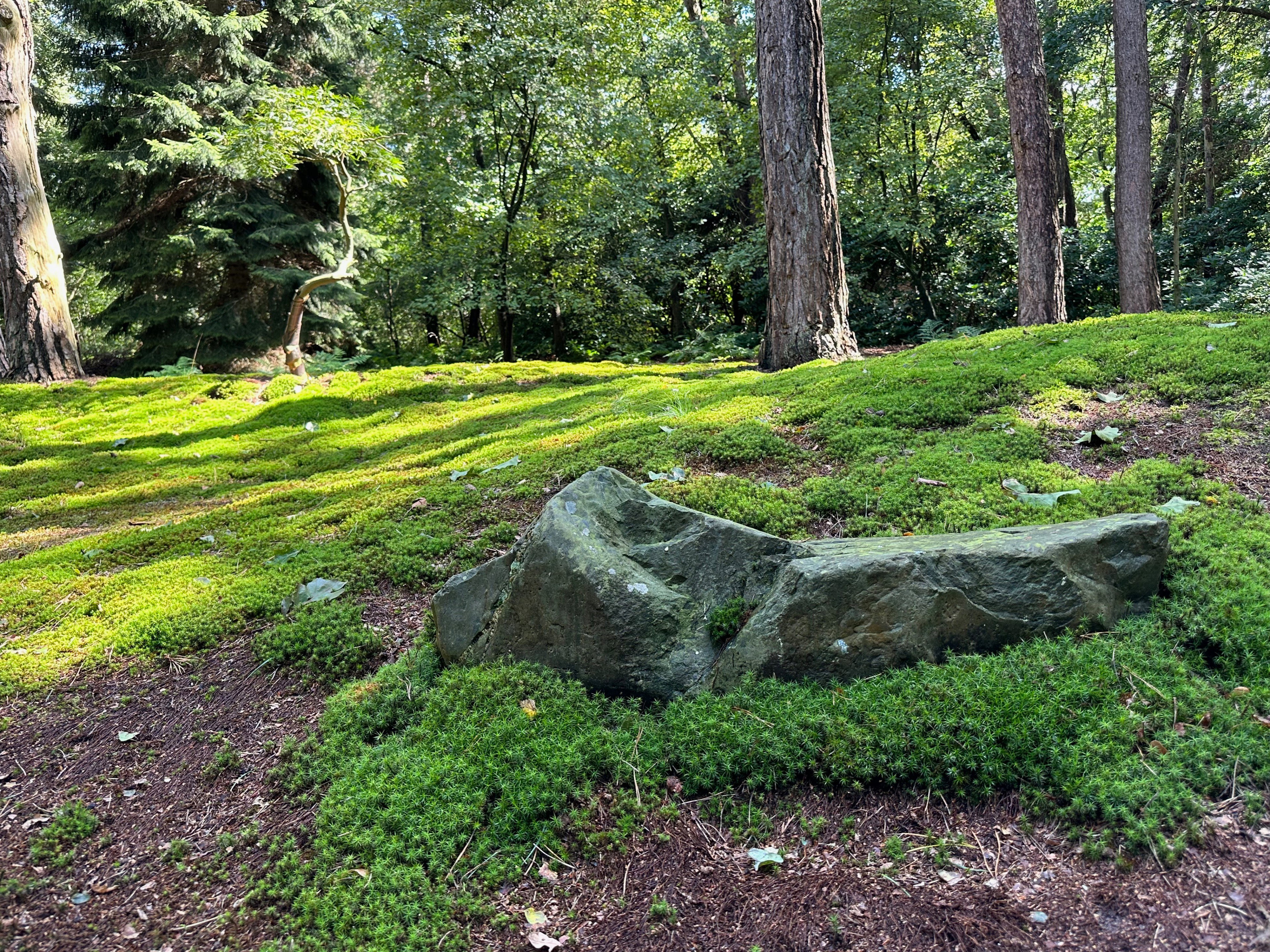 Naturhäuschen in Dalfsen