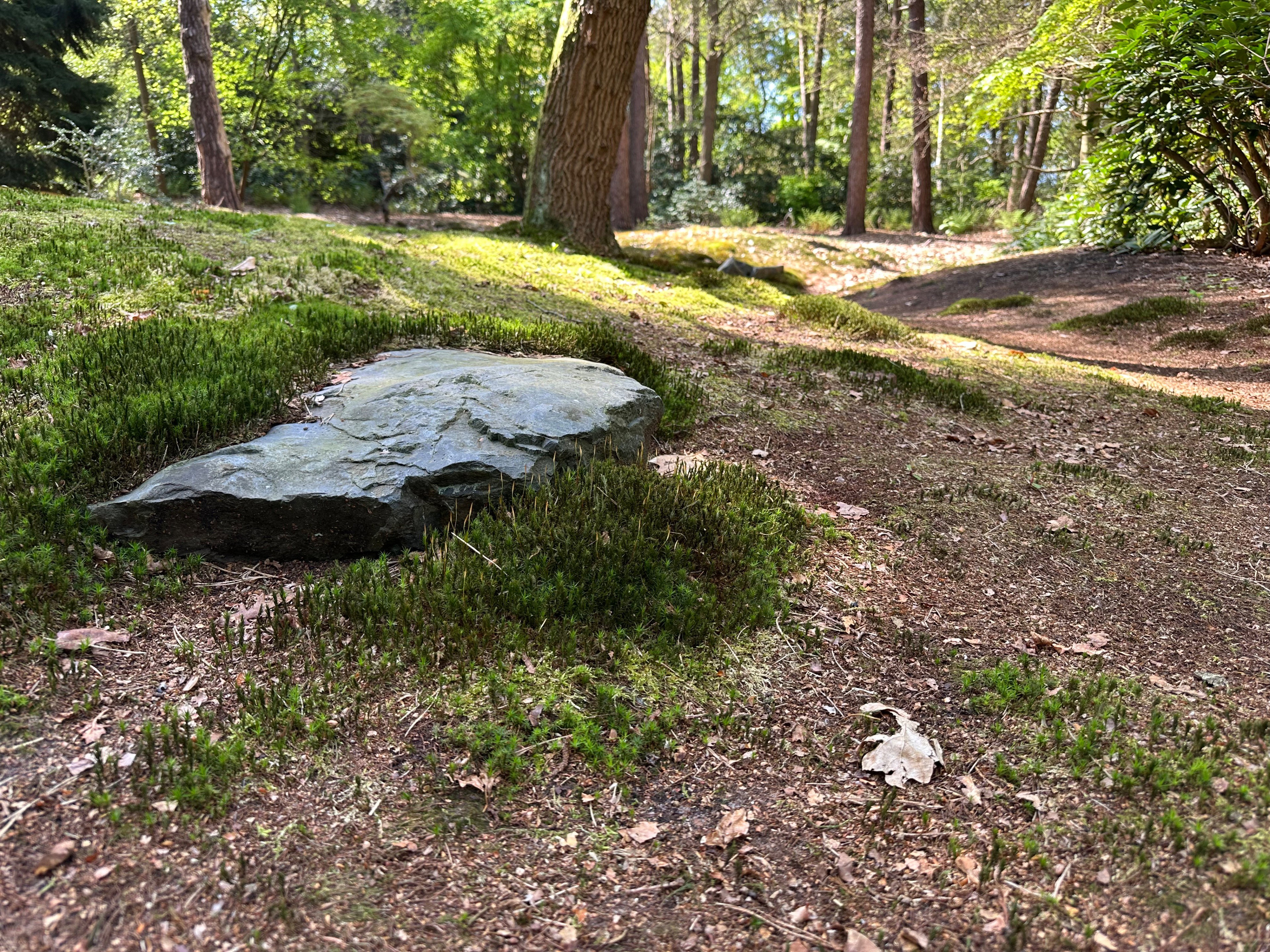 Casa nella natura a Dalfsen