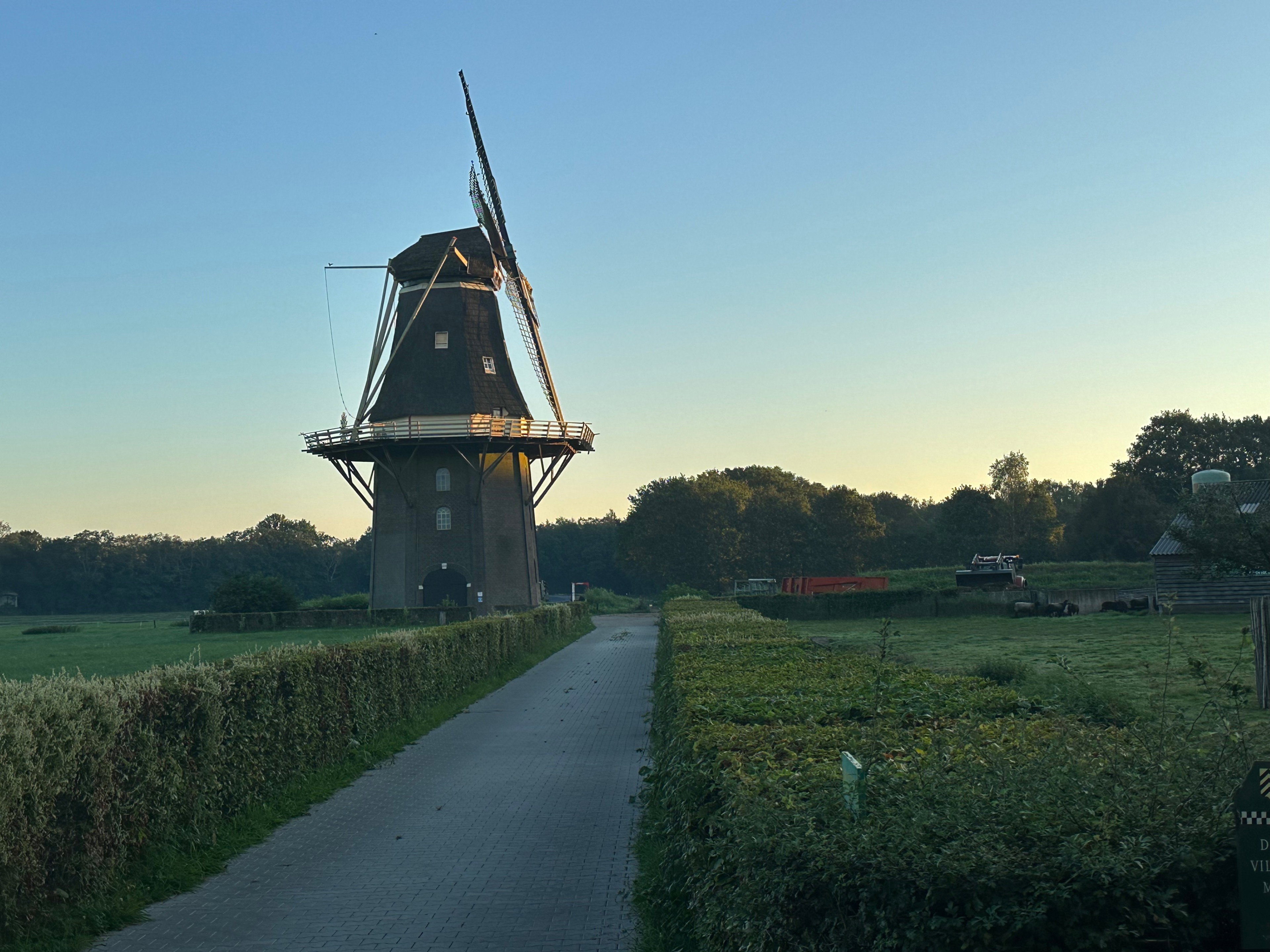 - image: 26