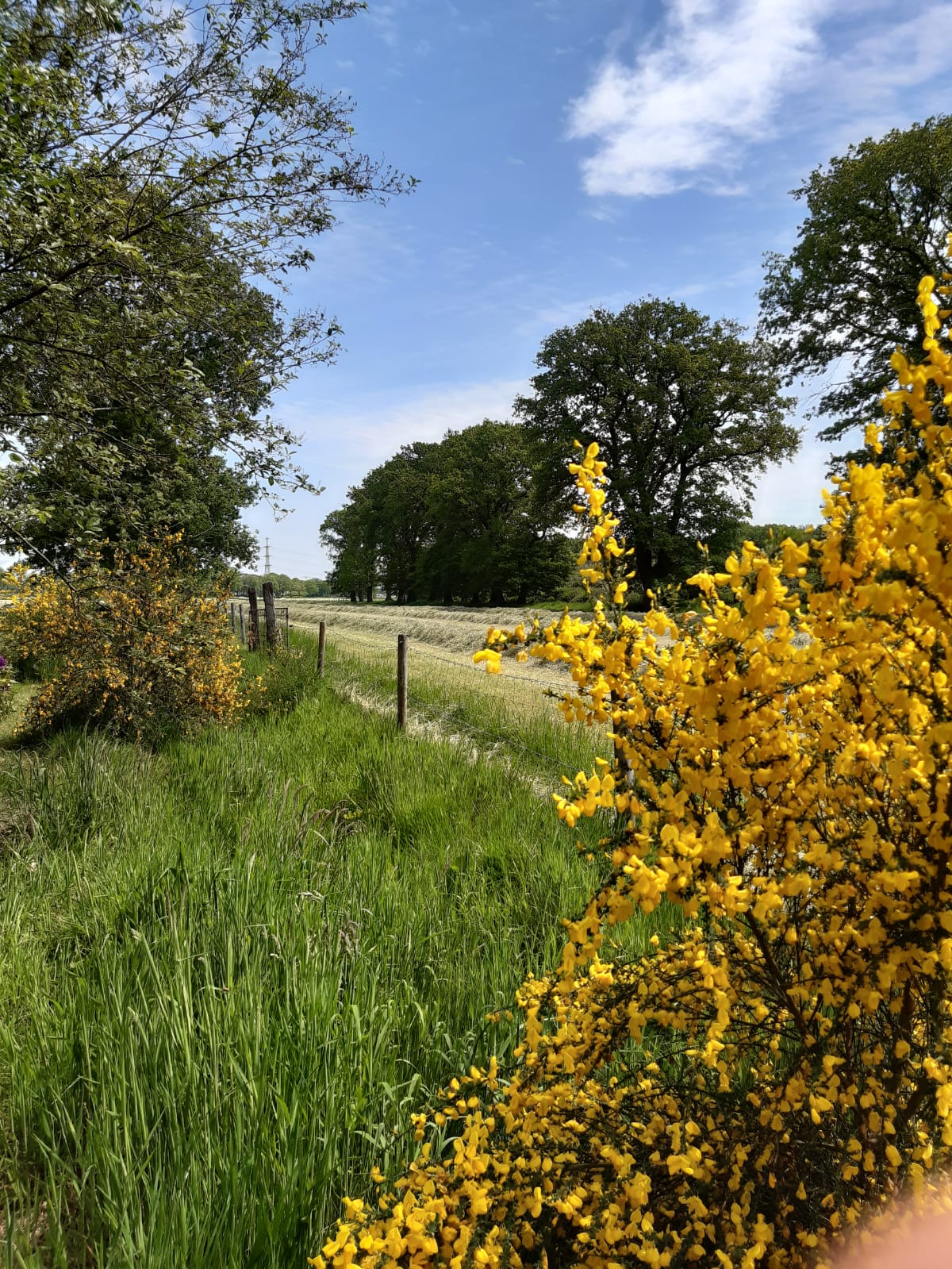 Naturhäuschen in Hijken