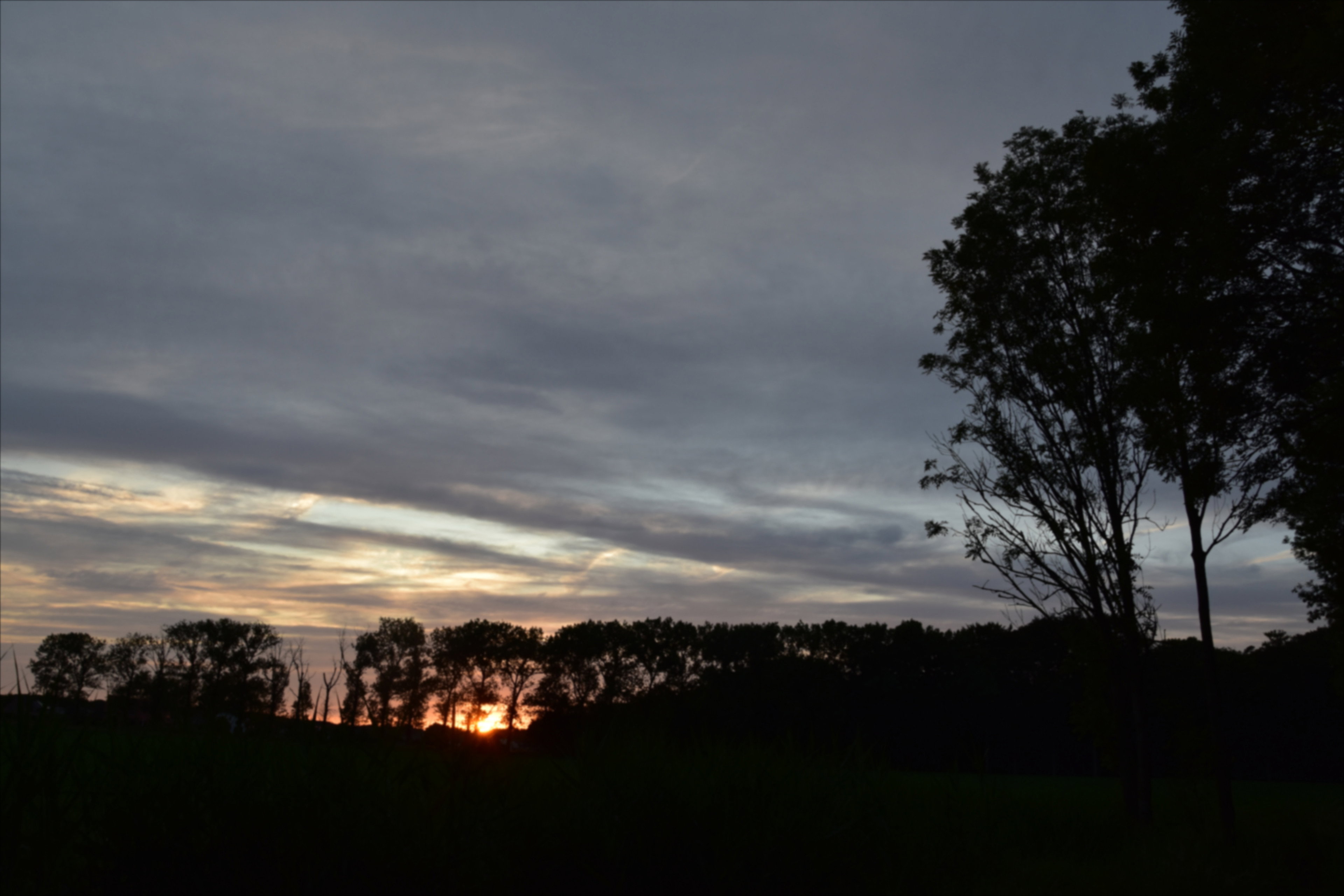- image: 23