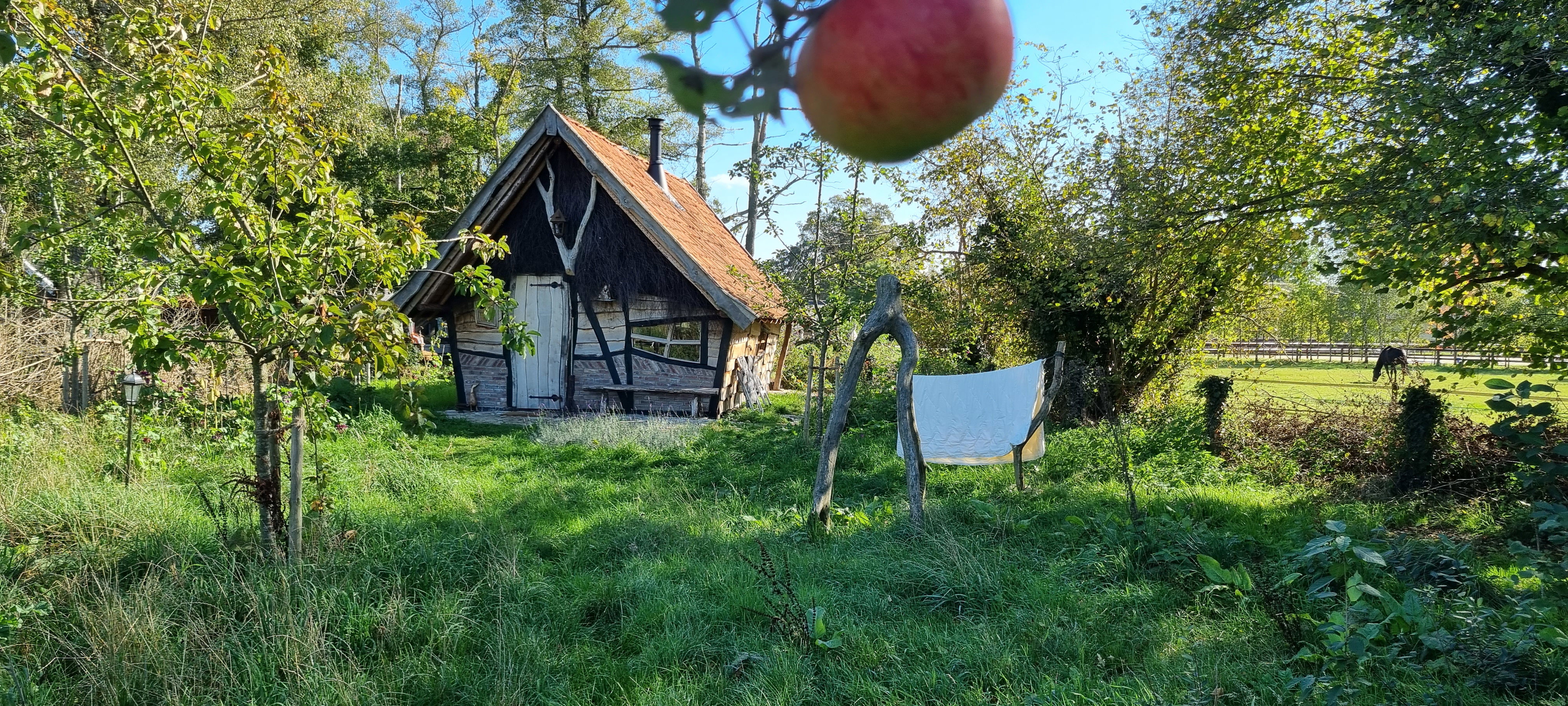 Natuurhuisje in Winterswijk Corle