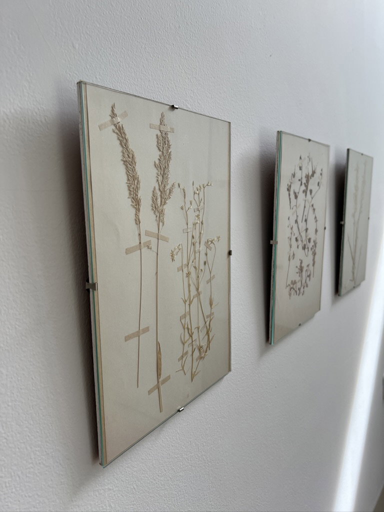 - image: 28