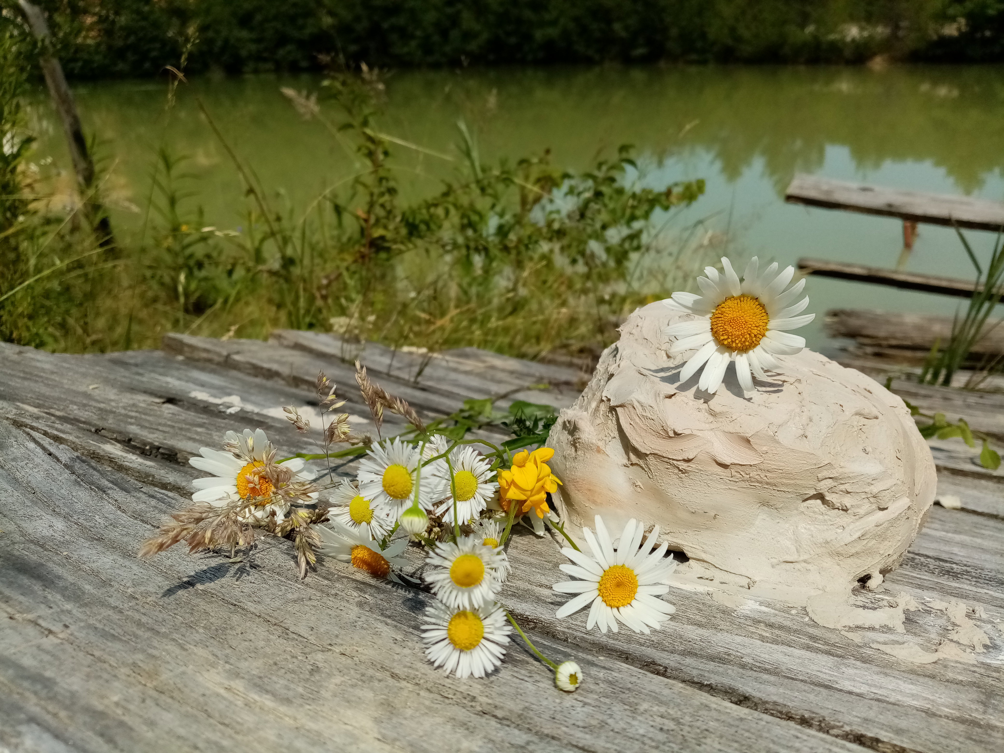 - image: 19