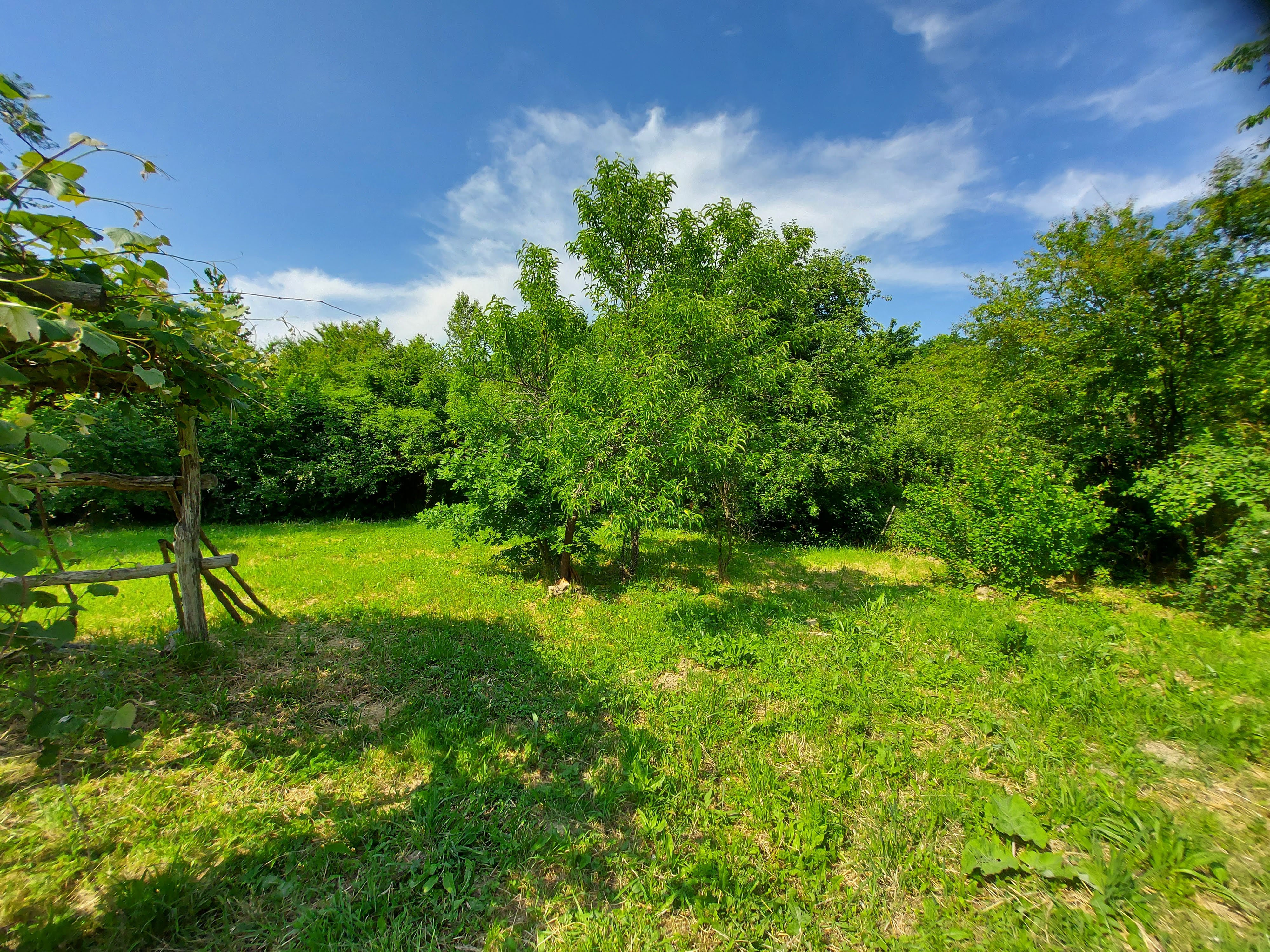 - image: 11