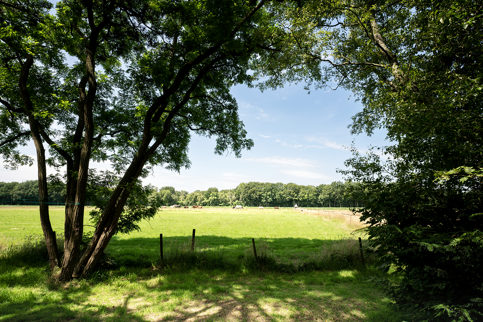 Maison nature à Soest