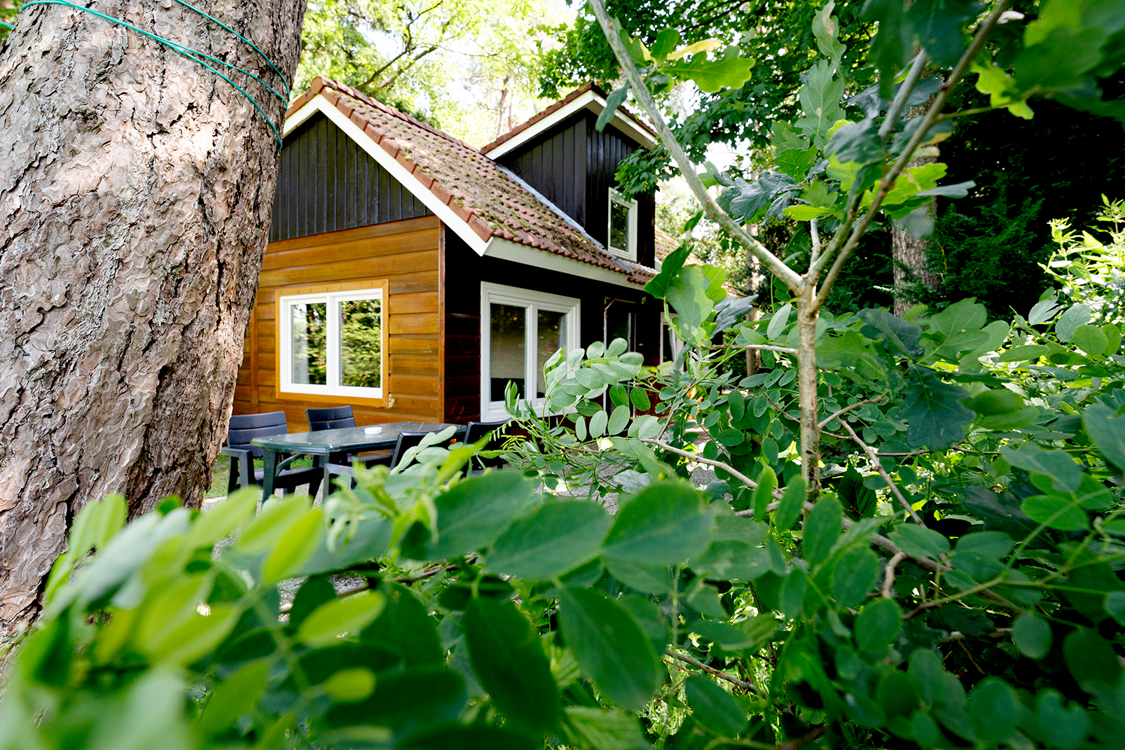 Maison nature à Soest