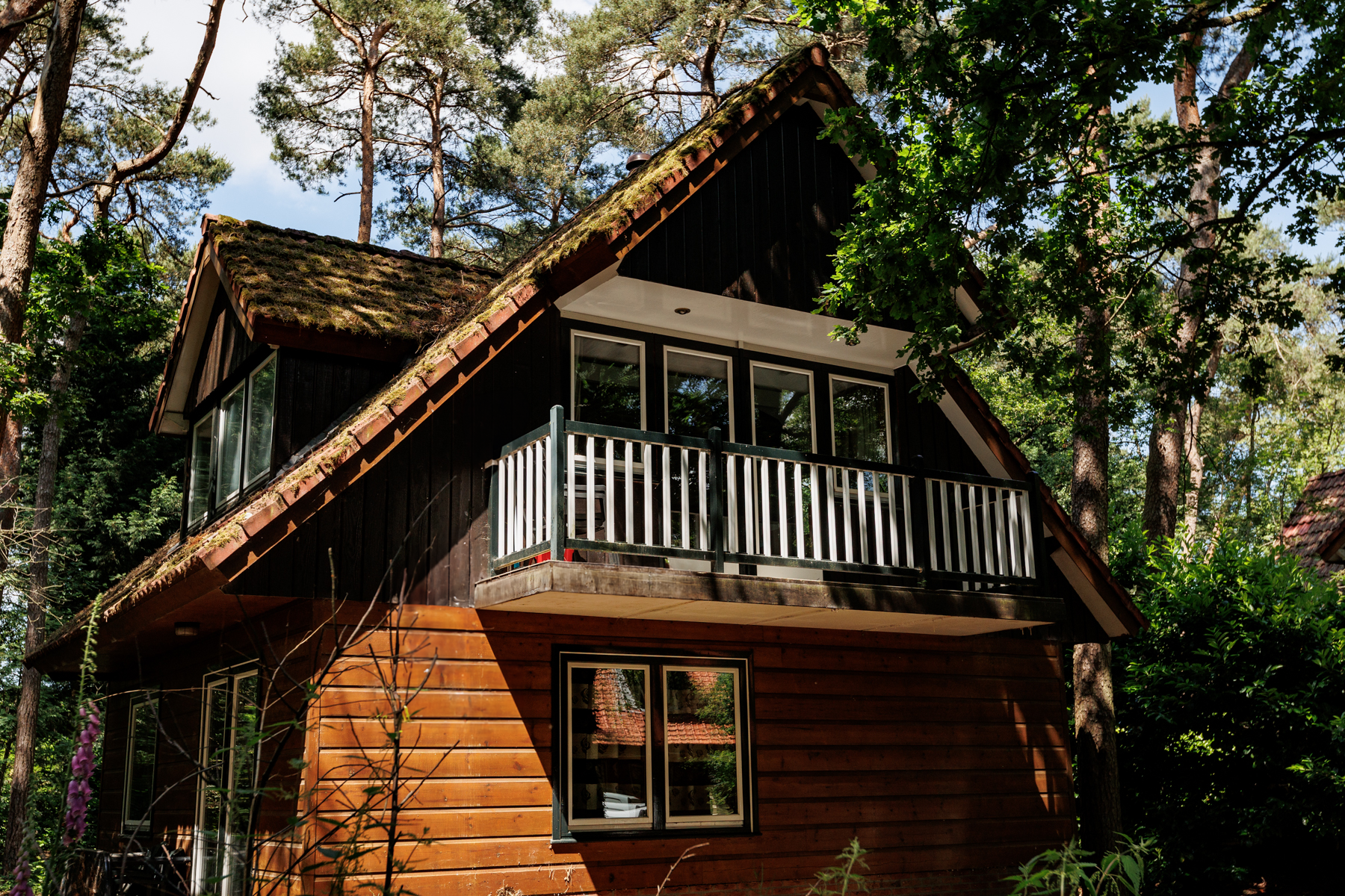 Maison nature à Soest