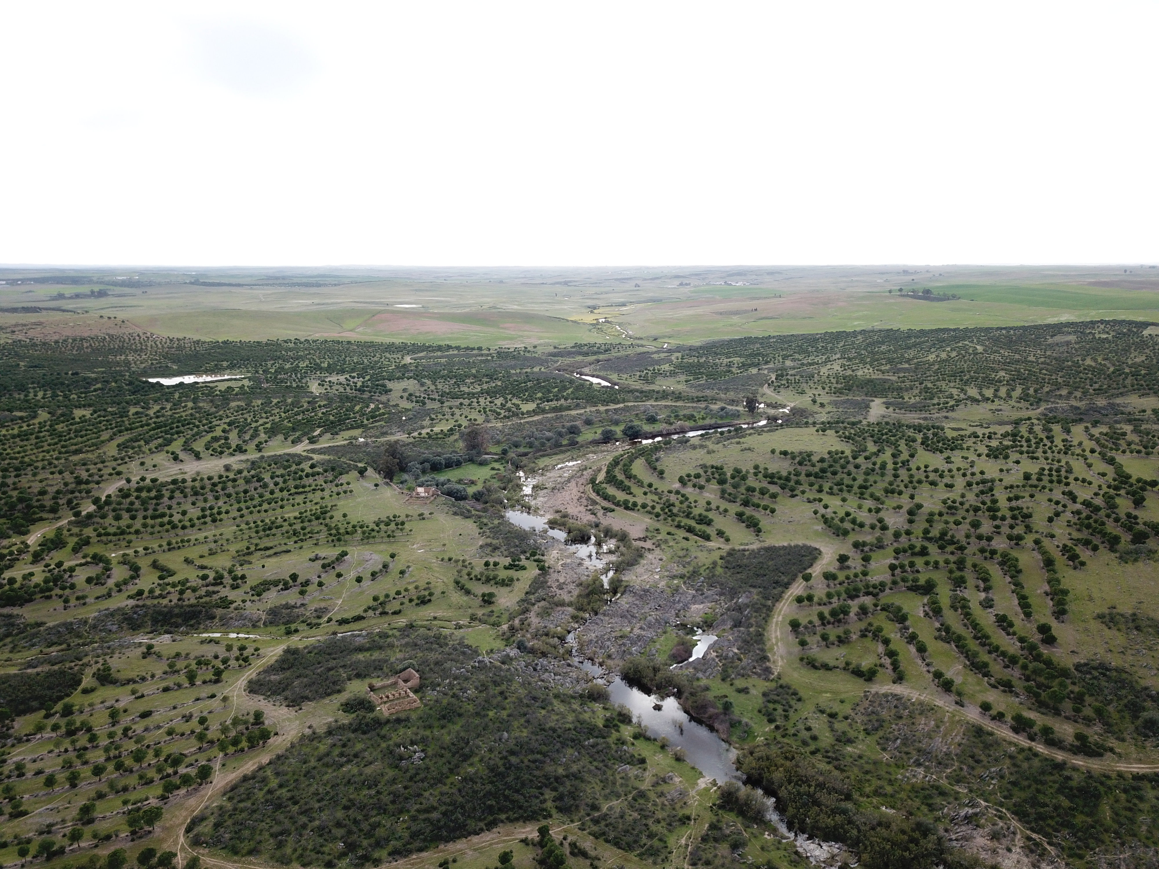 Casa nella natura a Alcaria Ruiva