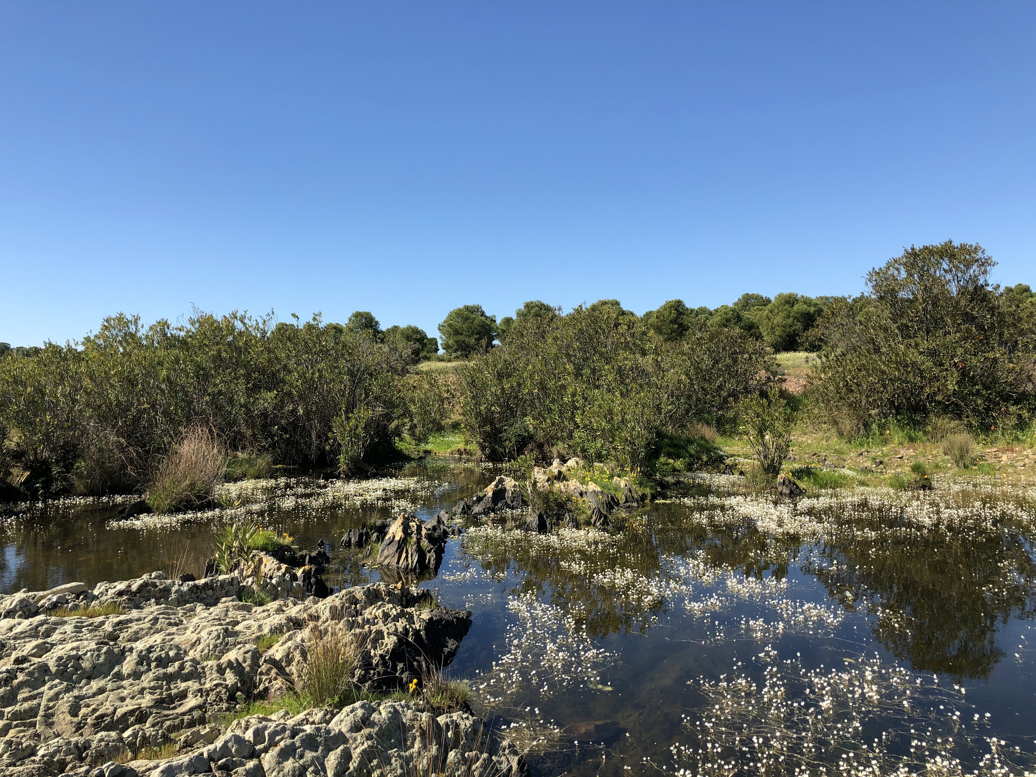 Casa nella natura a Alcaria Ruiva