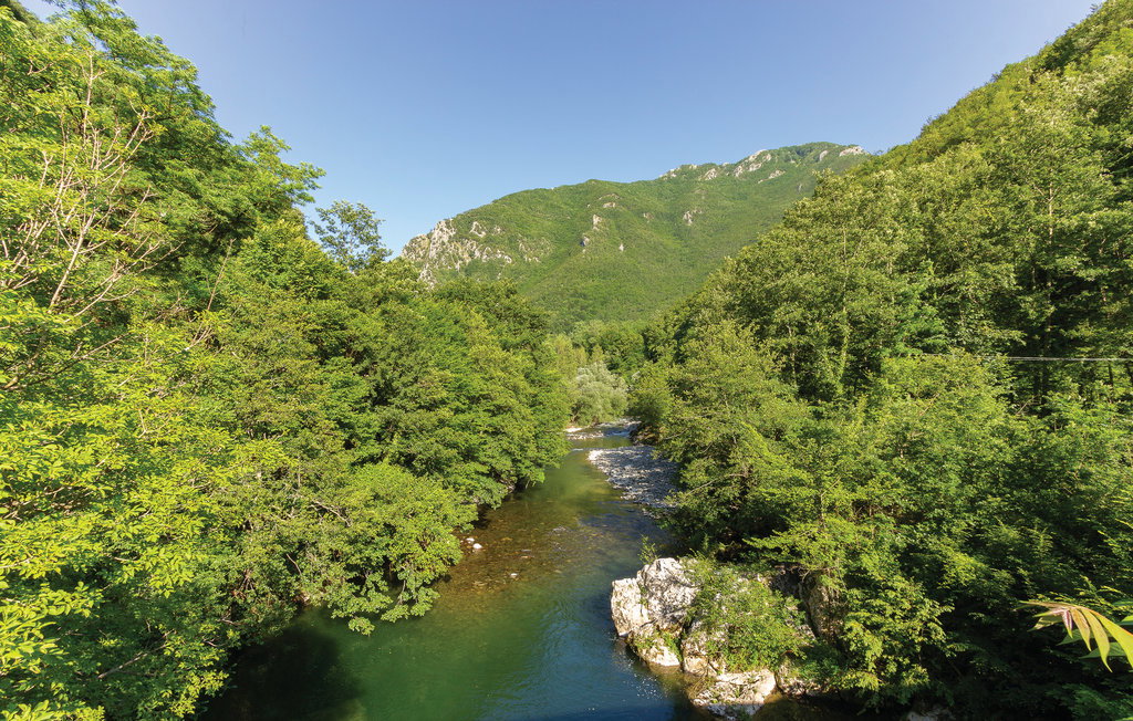 - image: 5