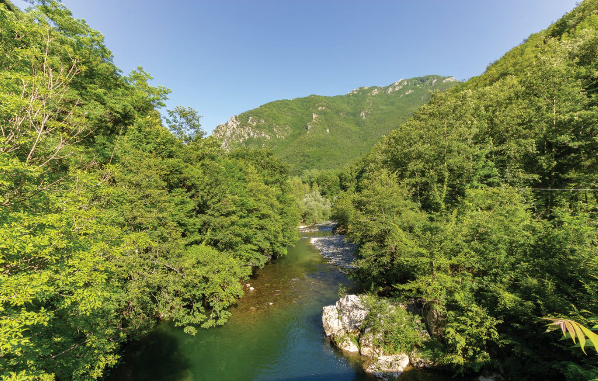 - image: 15