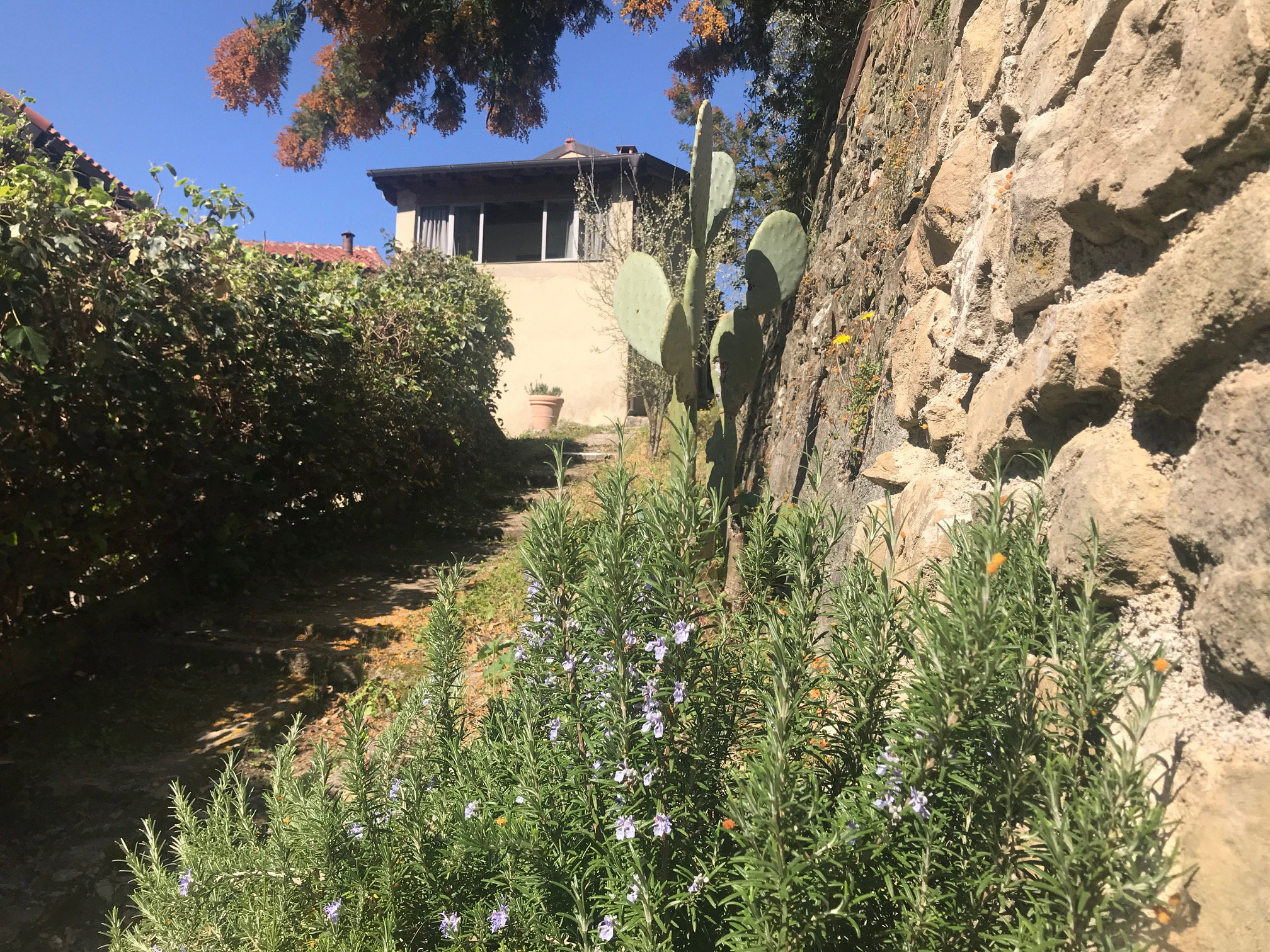 Maison nature à Ventimiglia