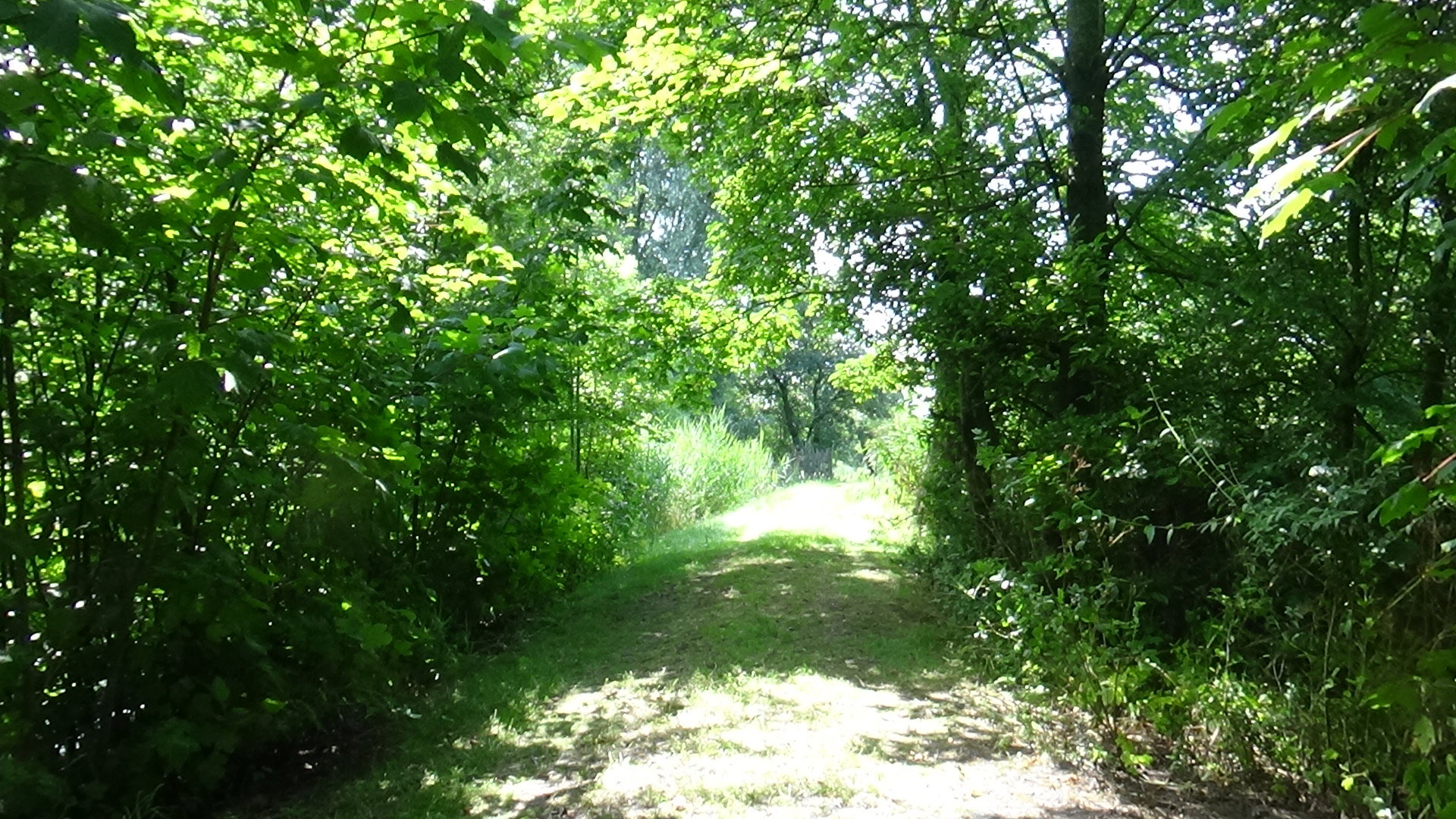 - image: 14